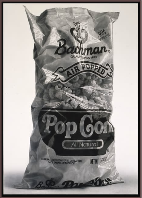 POP CORN, 2009 Graphite, digital print on canvas  54 x 40 in. (137.2 x 101.6 cm)
