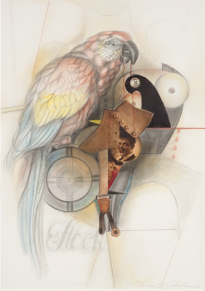 PARROT, 1986 
Pencil, collage on paper 
27 1/2 x 19 1/4 in. (69.8 x 48.9 cm)
