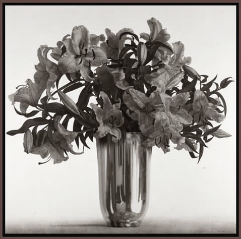 LILIES, 2009 Graphite, digital print on canvas  40 x 42 in. (101.6 x 106.7)