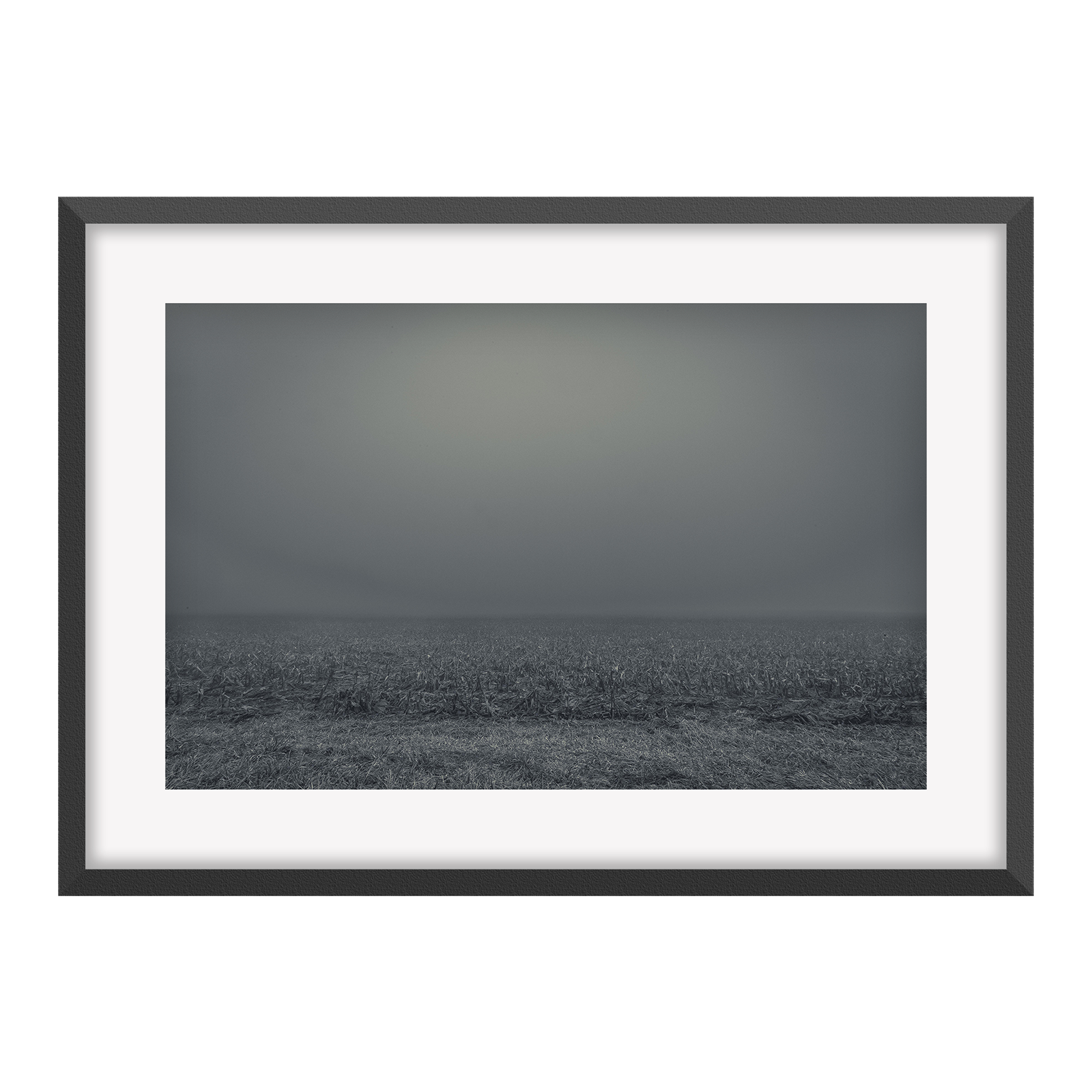 000417-FRM02 Morning Fog Over Missing Snow 19%22x12%22.png