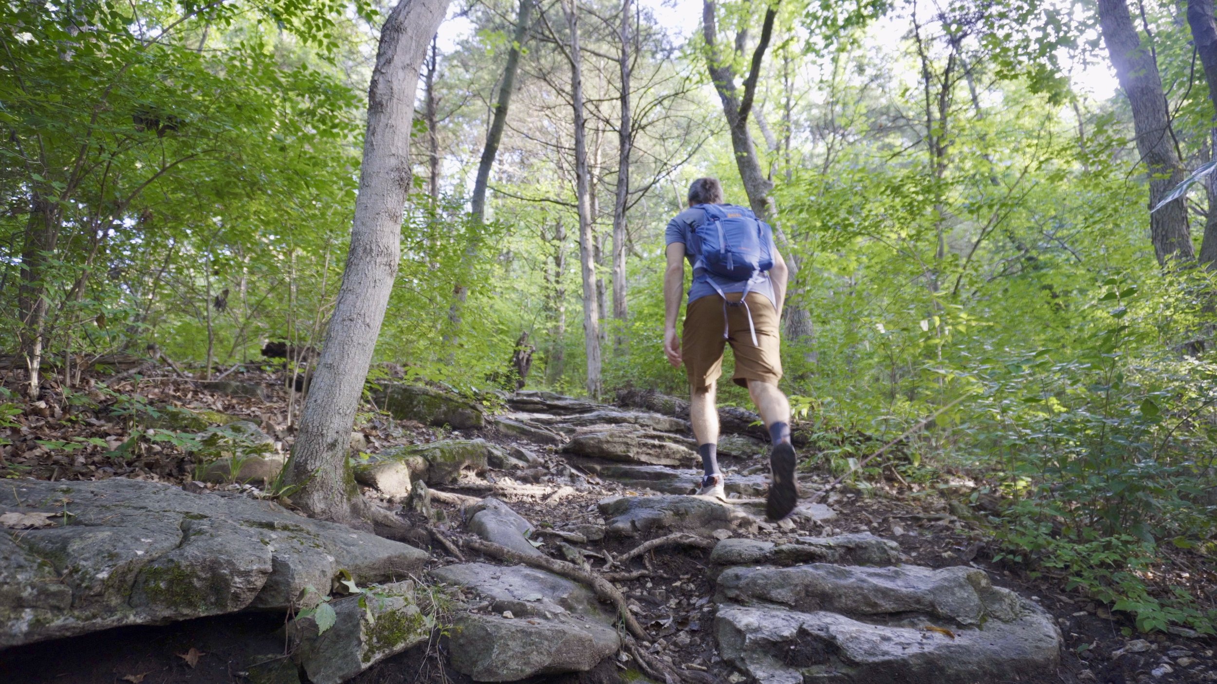 Clark Loop Trail