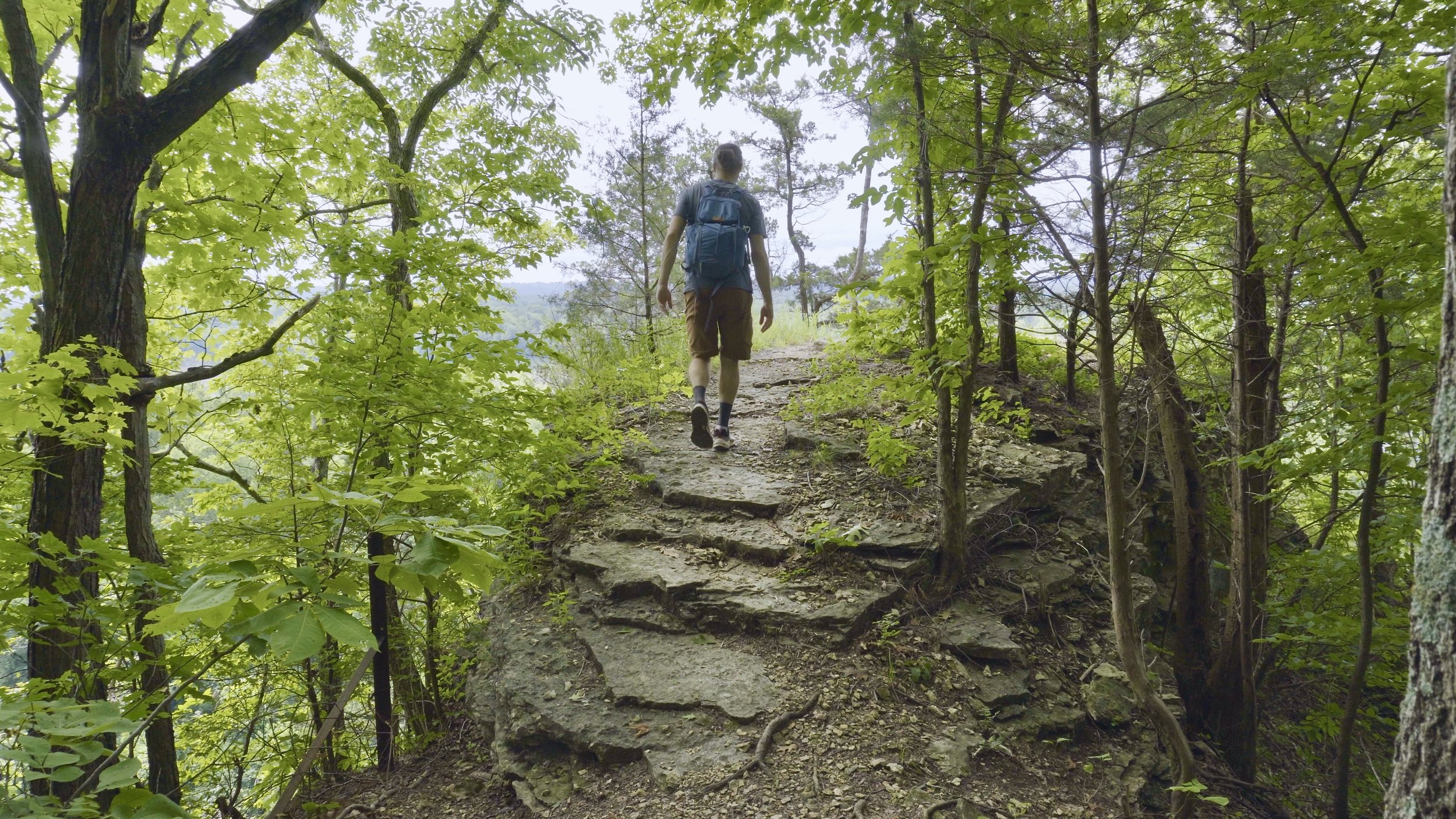 Lewis Loop Trail