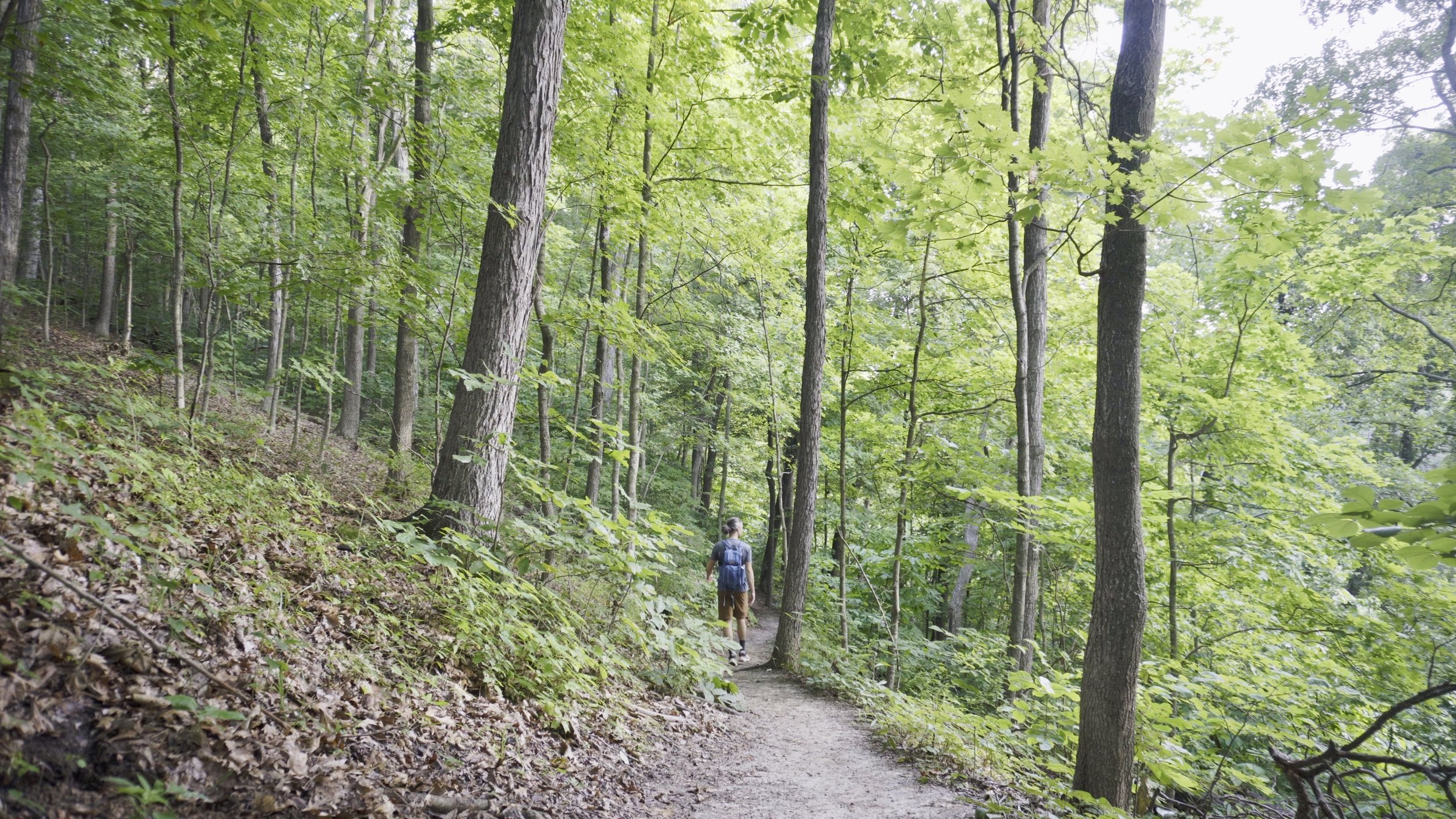 Clark Loop Trail