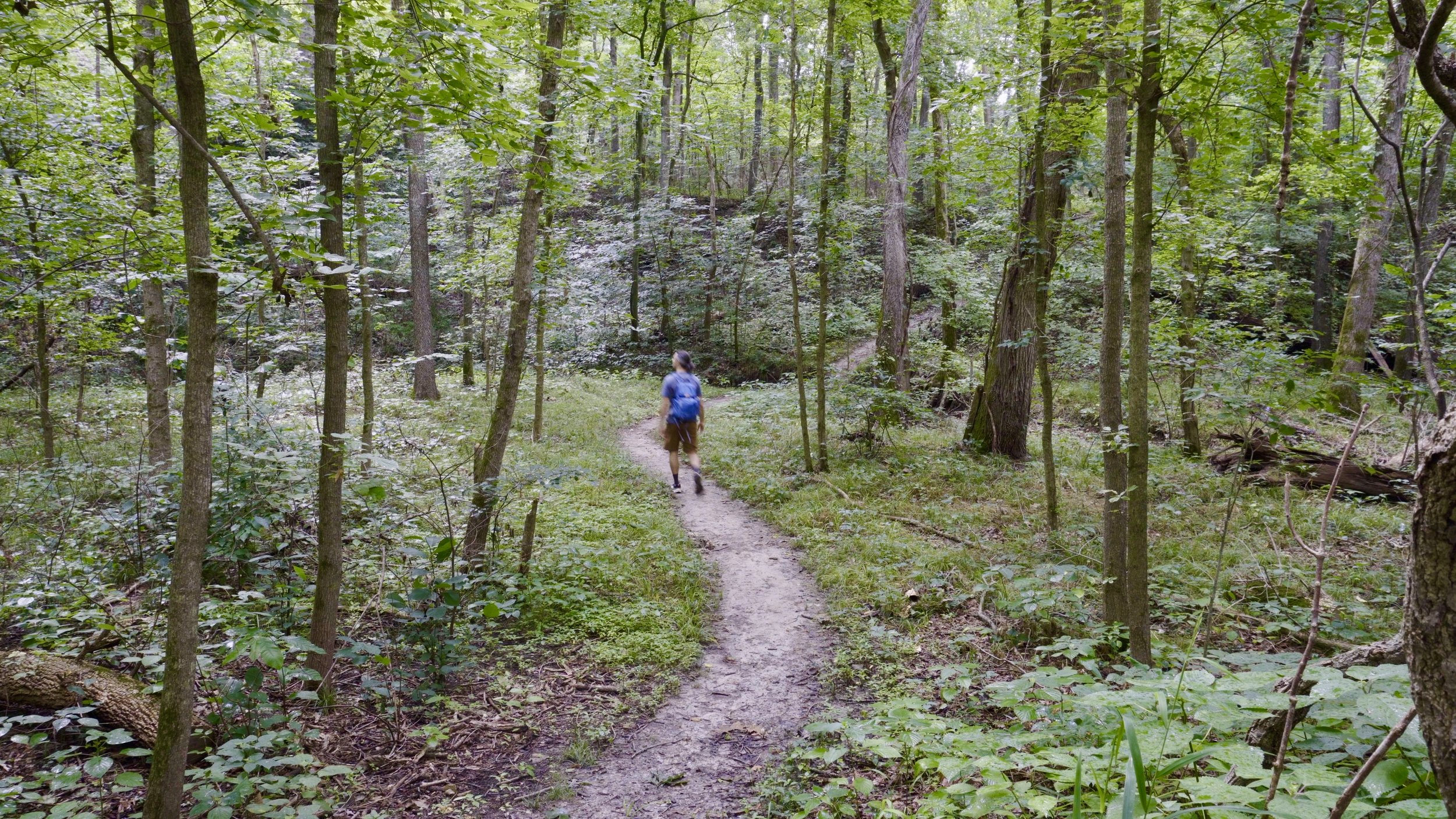 Lewis Loop Trail after Clark/Lewis Split