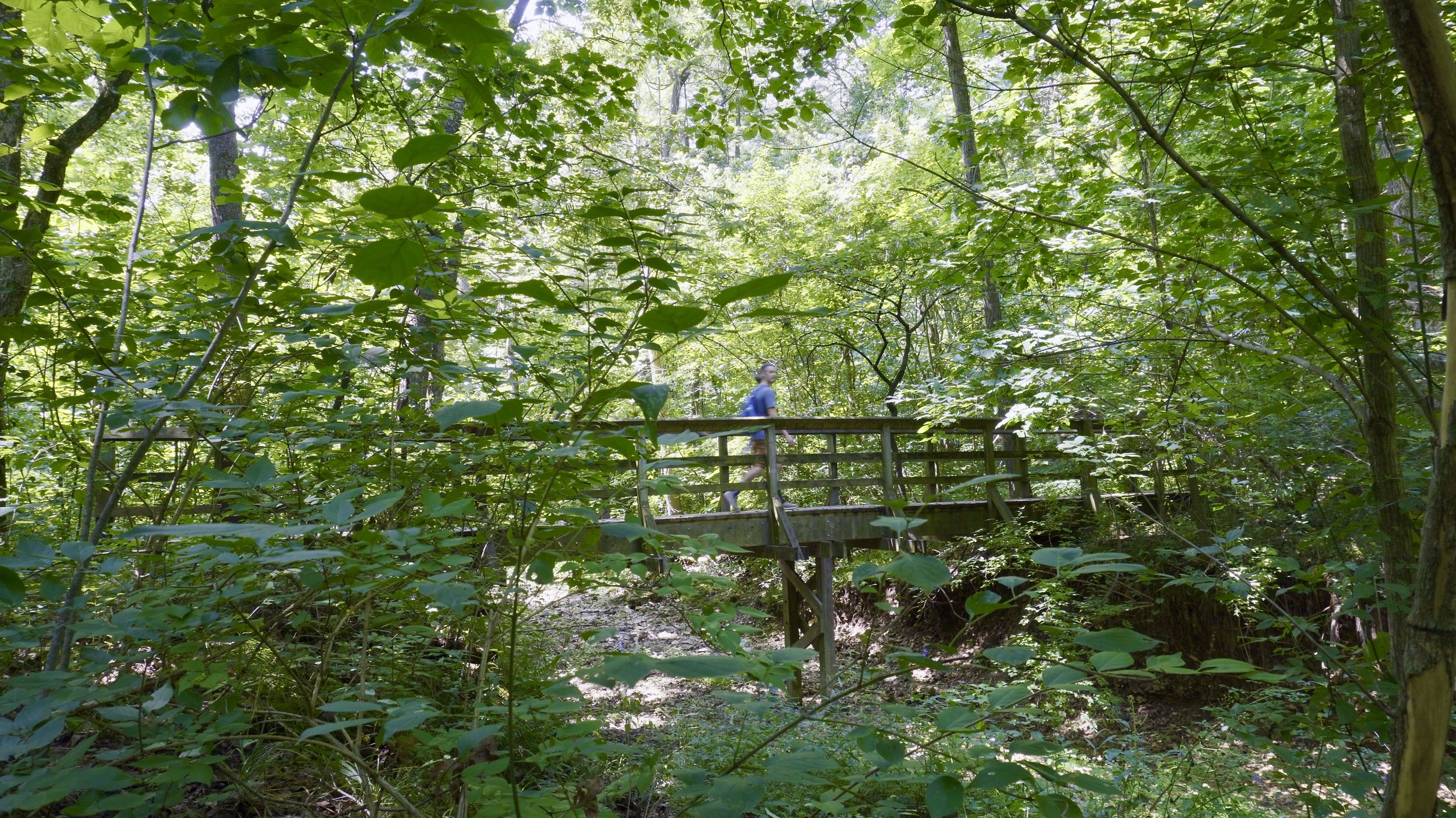 Wooden Bridge