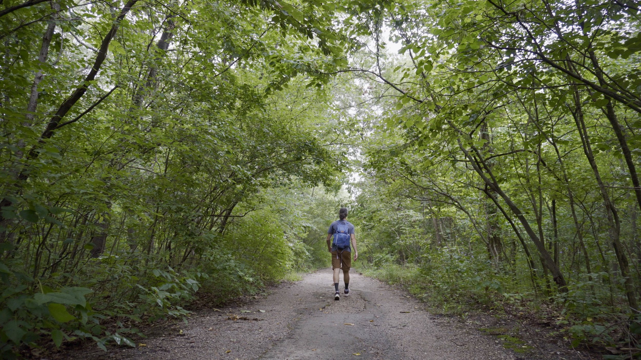 Beginning the Clark Loop Trail