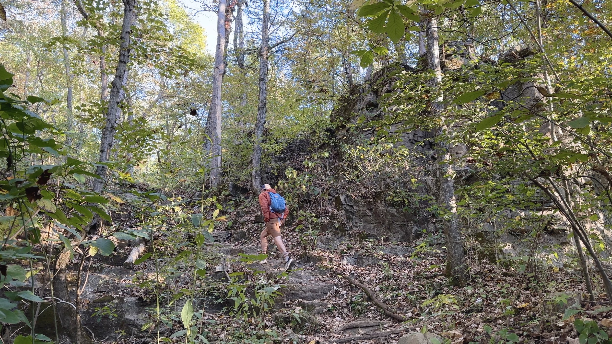 Climbing to the top of the bluffs