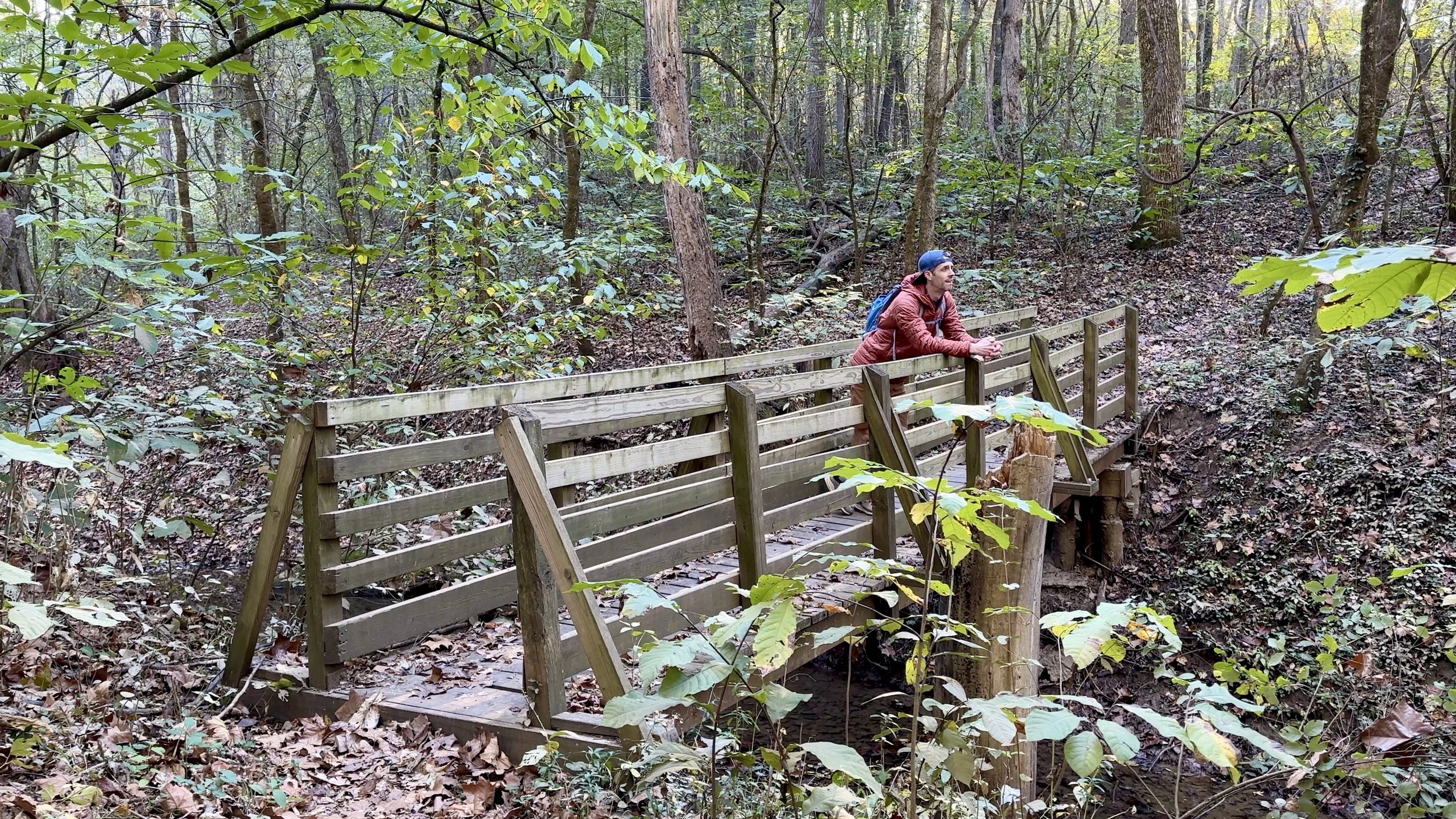 Wooden Bridge