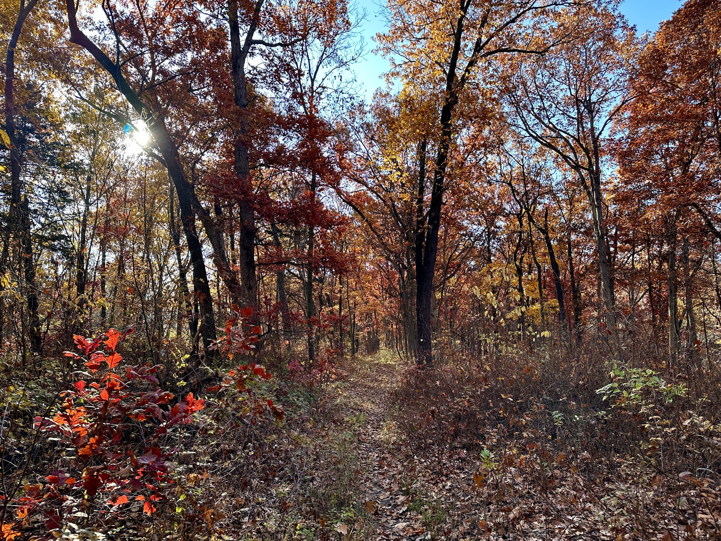 Along the trail