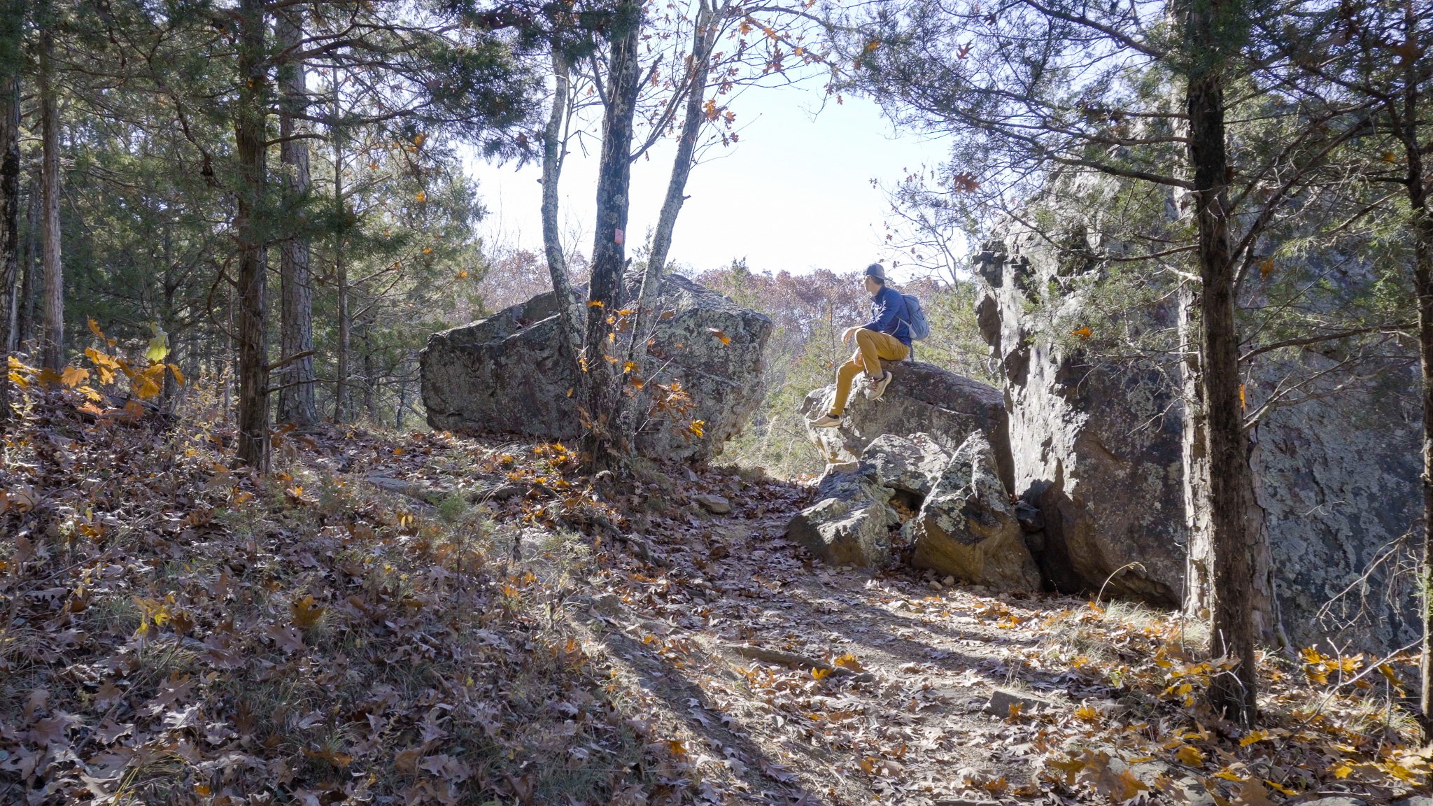 Boulders at the Ozark Trail Split