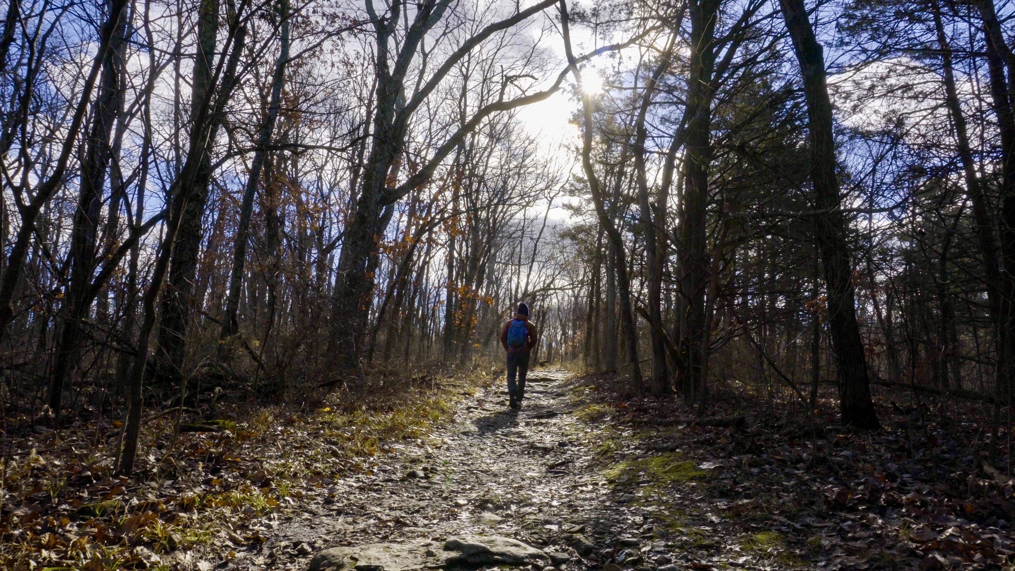 Sinkhole Trail