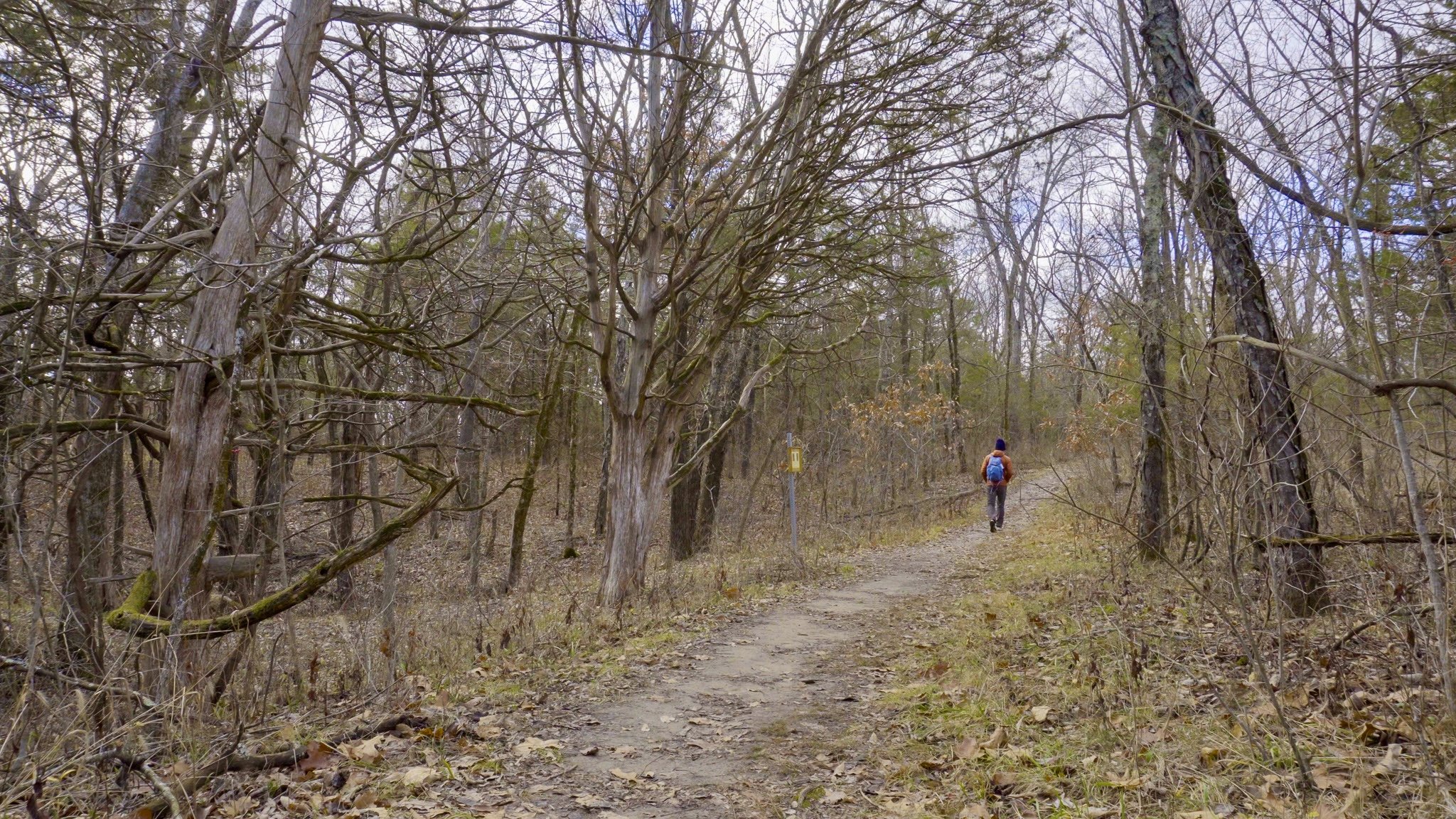 Sinkhole Trail