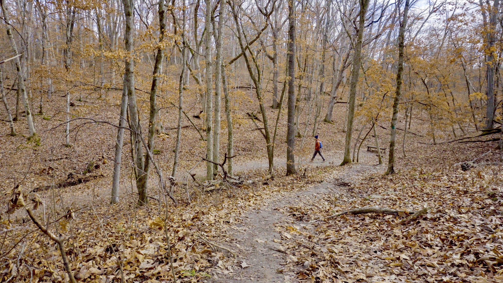 Sinkhole Trail