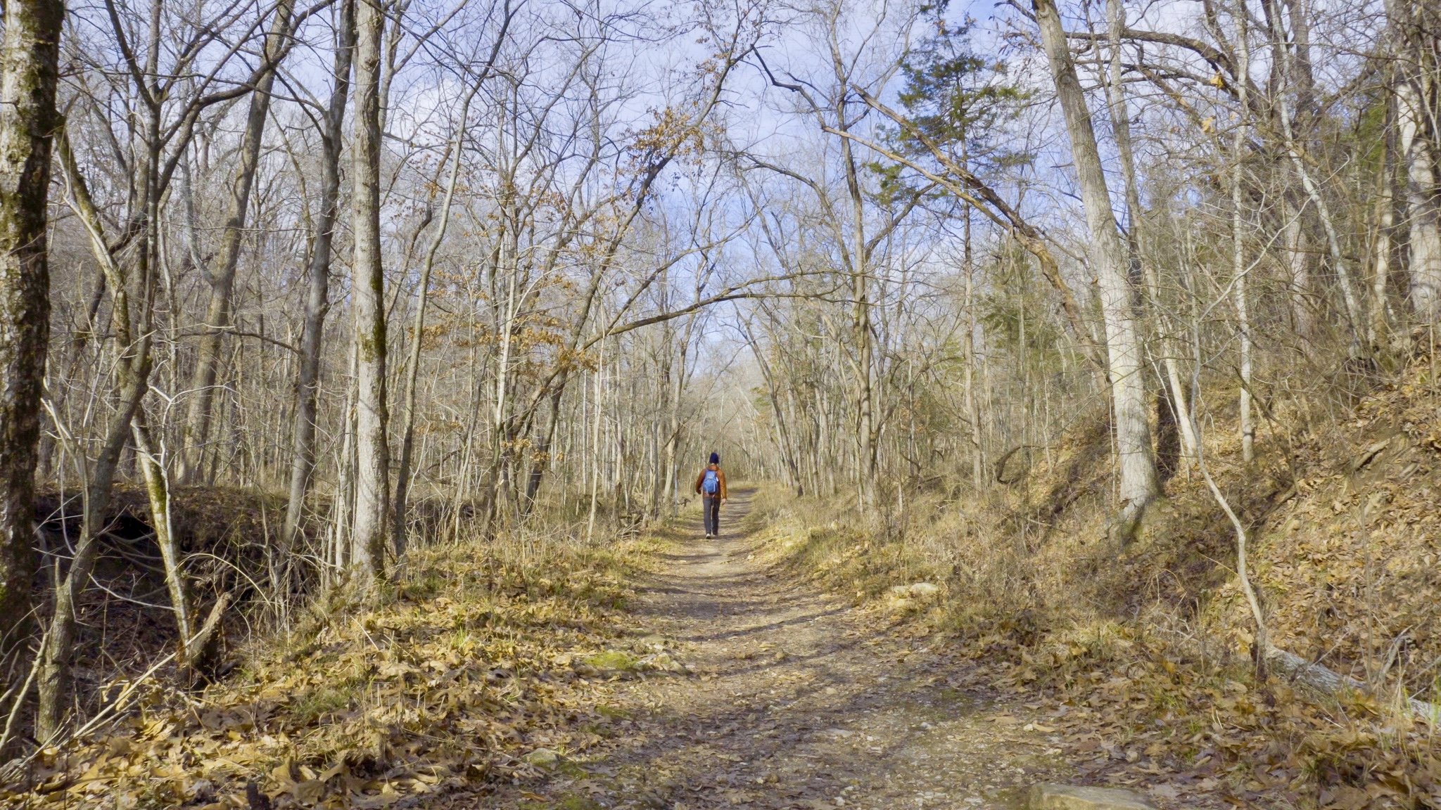 Sinkhole Trail