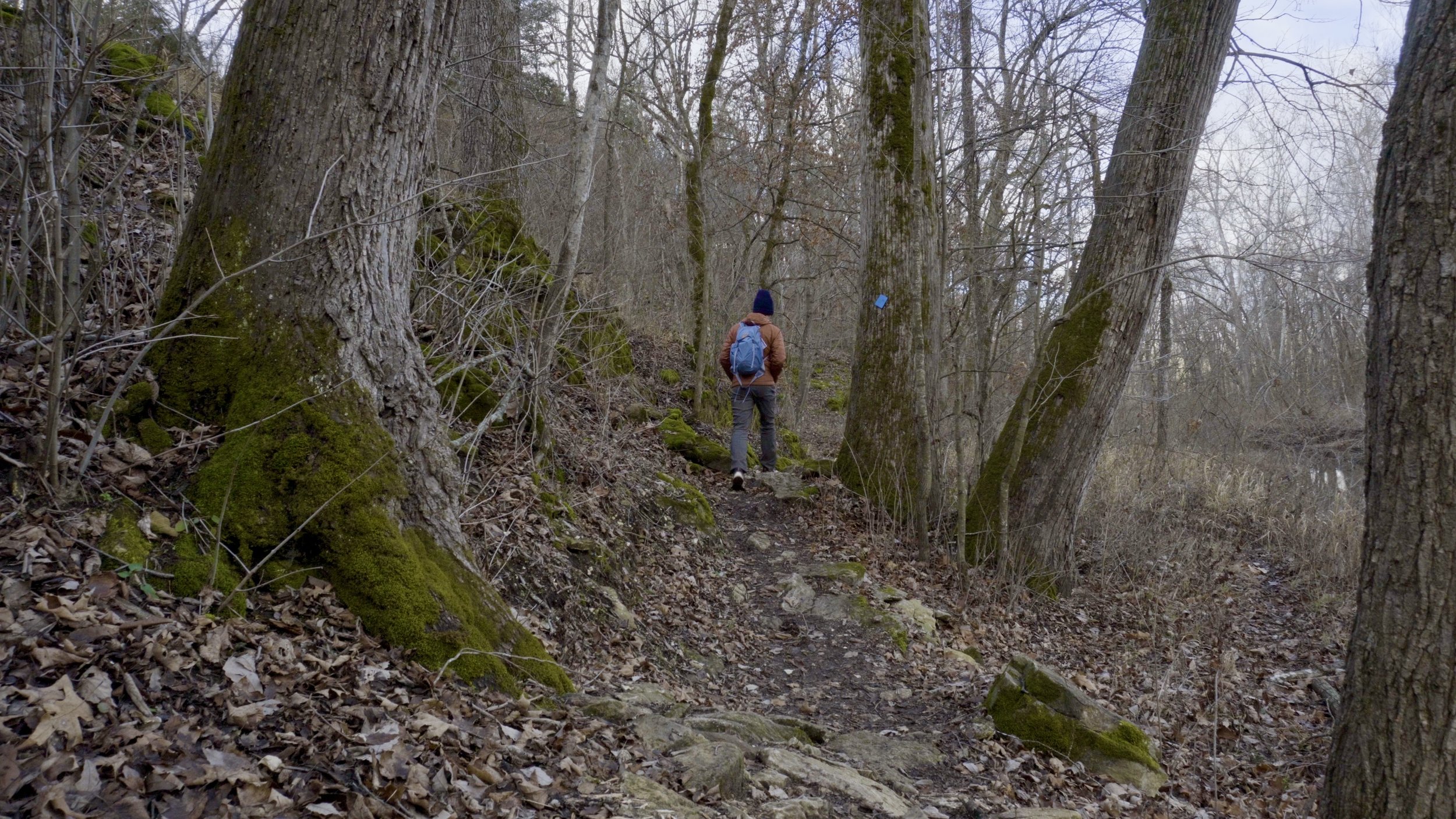 High Ridge Trail