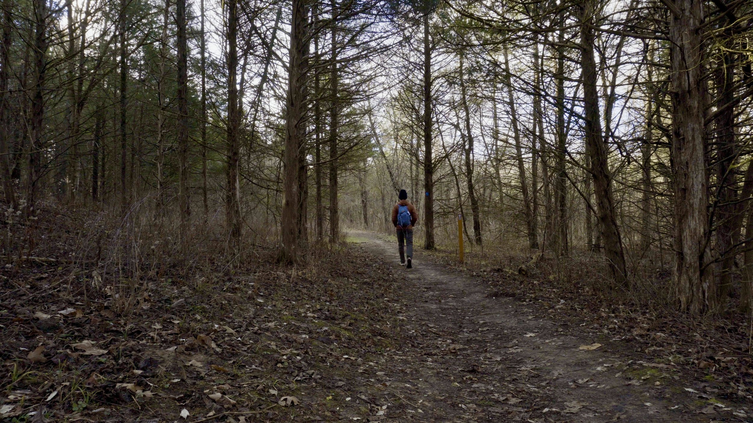 High Ridge Trail