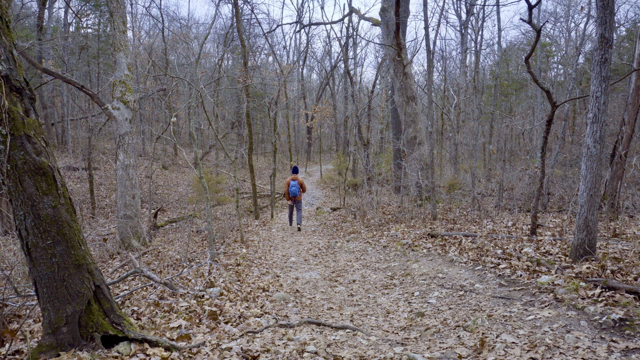 Starting Deer Run Trail