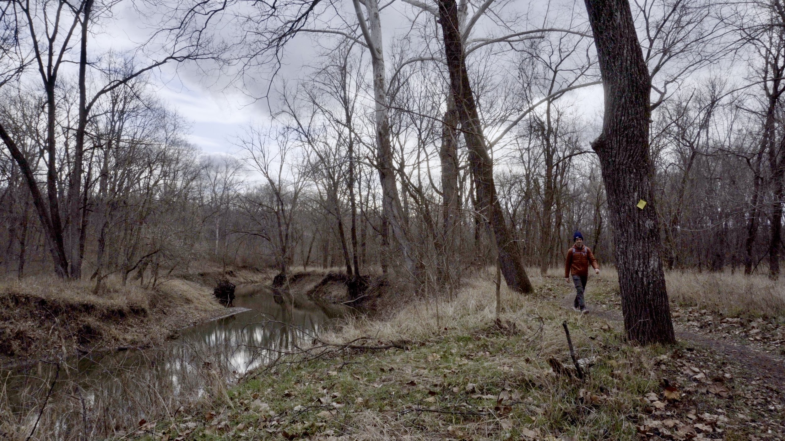 Along the banks of Little Bonne Femme Creek