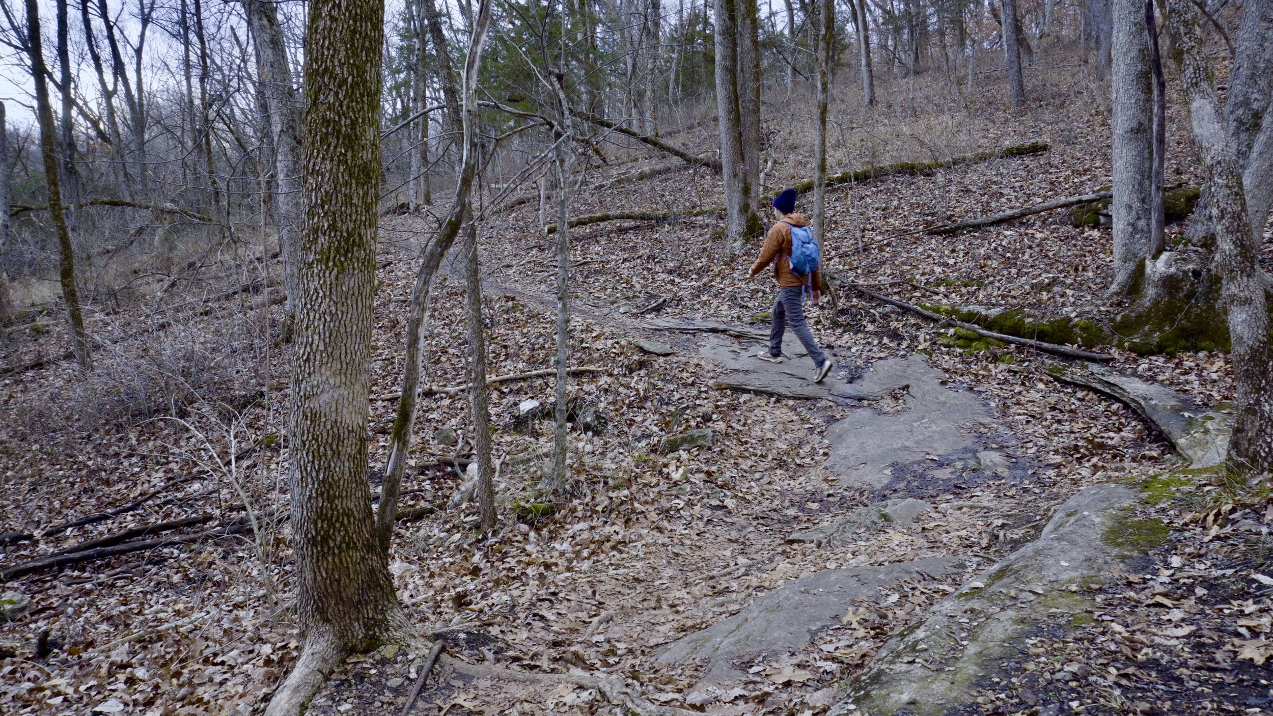 Deer Run Trail