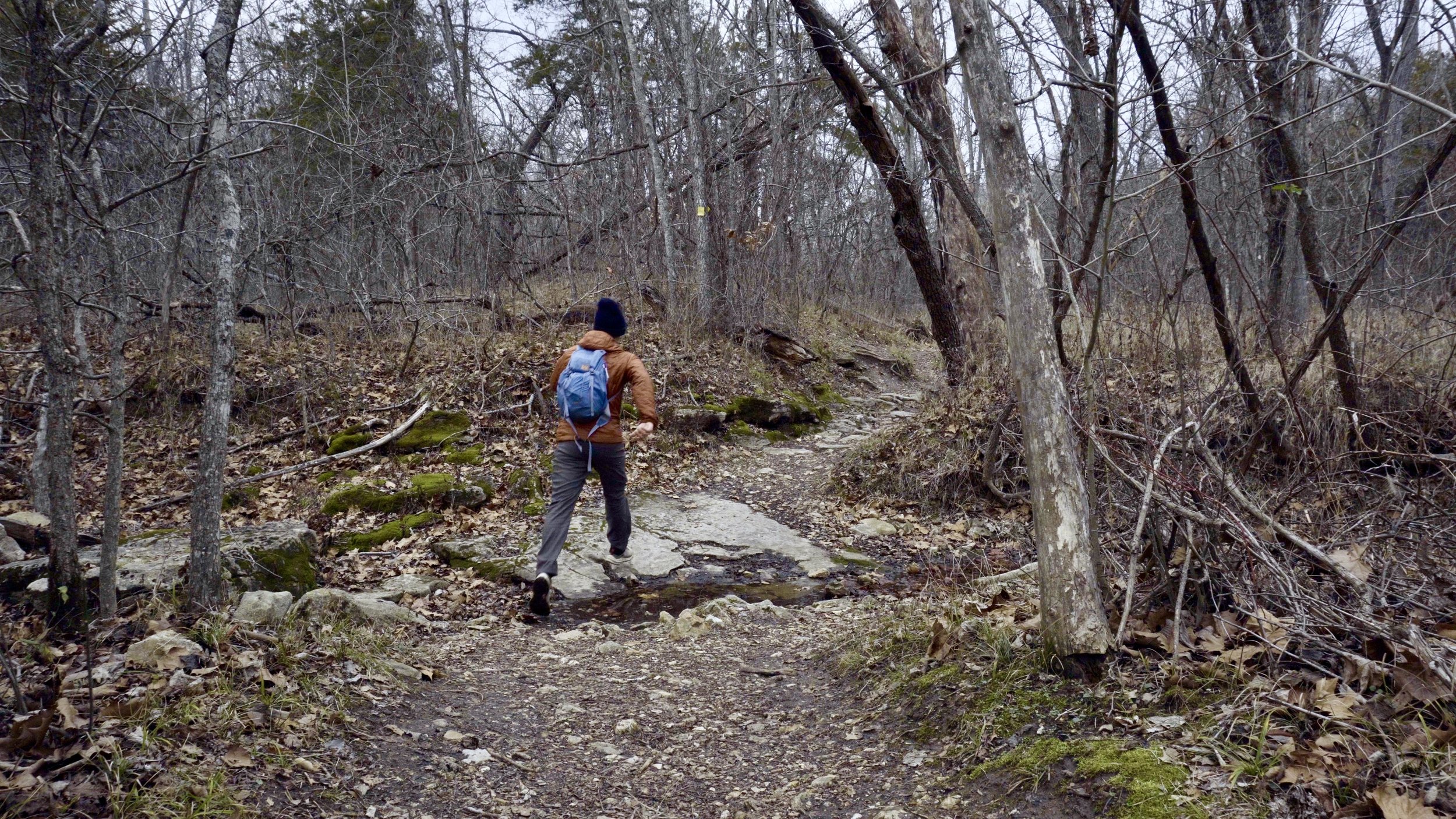 Deer Run Trail