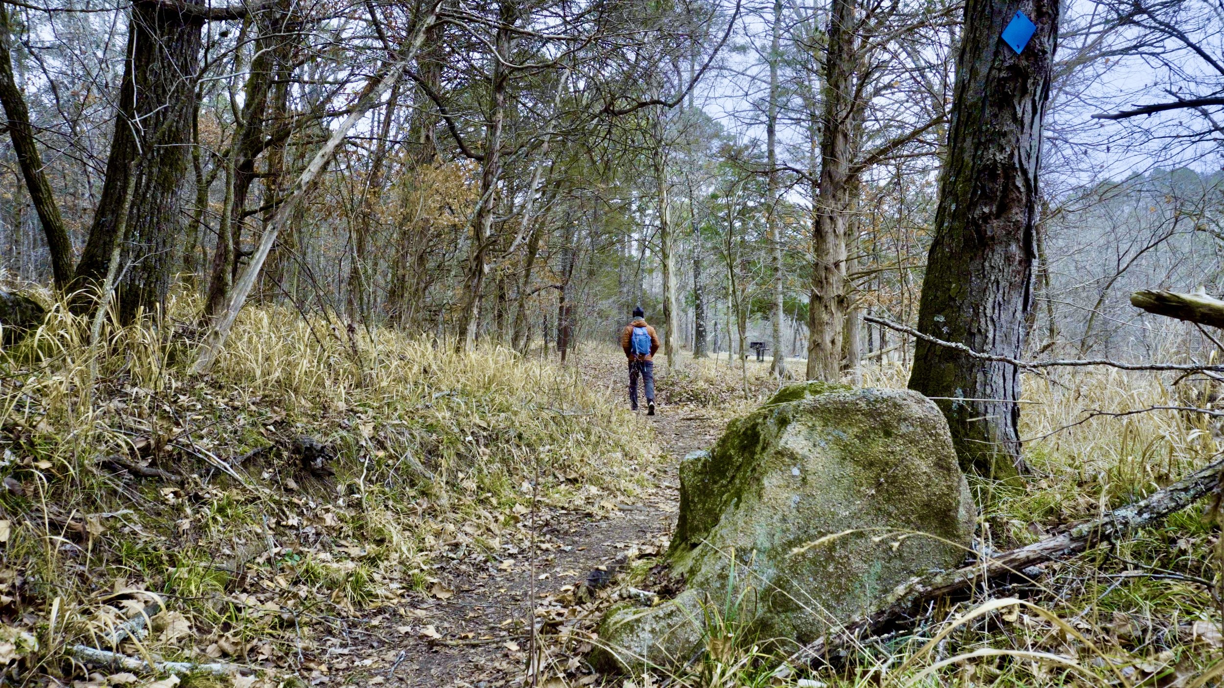 Approaching Silver Mines Picnic Area