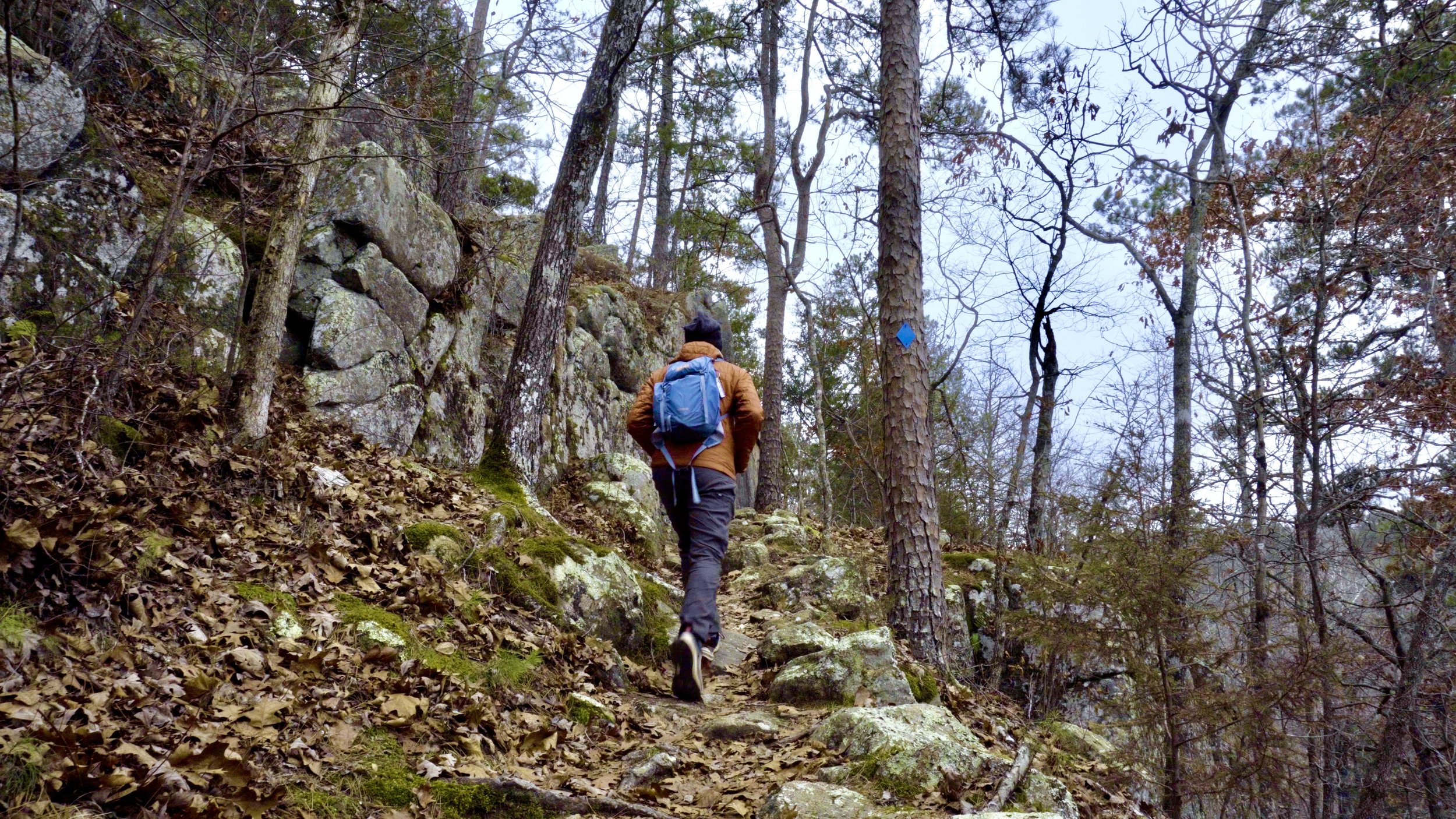 Starting Mines East Trail