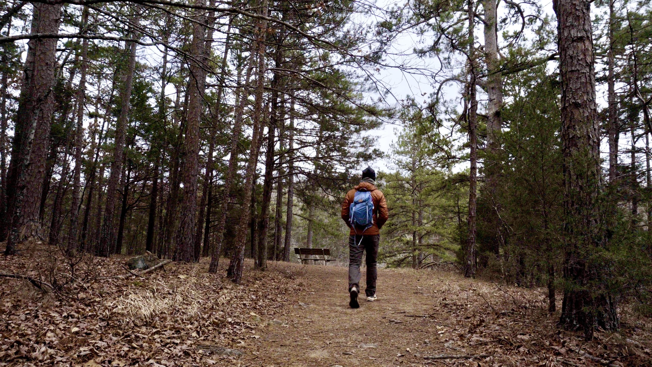 Approaching Cat's Paw Overlook