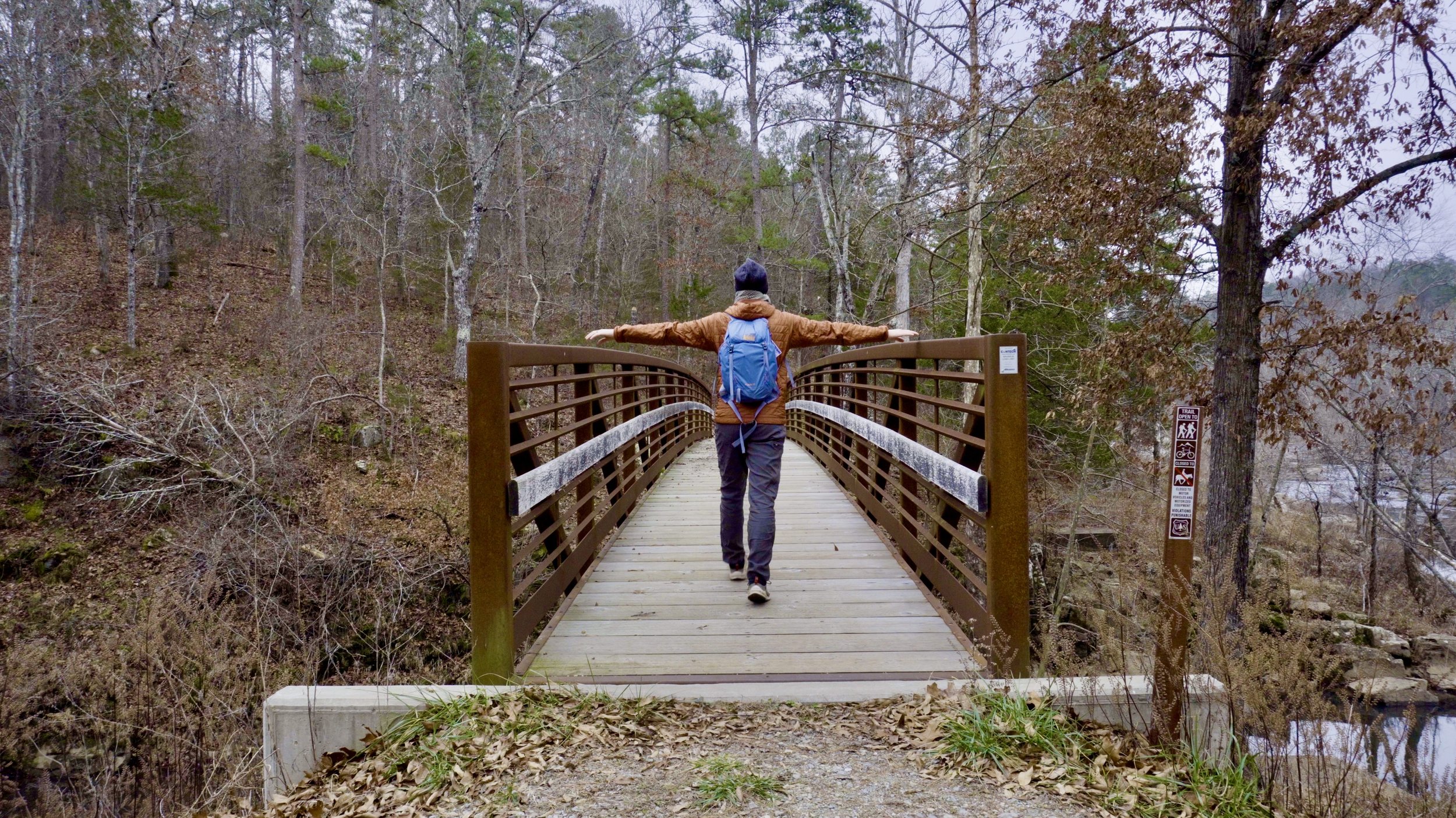 Metal Bridge