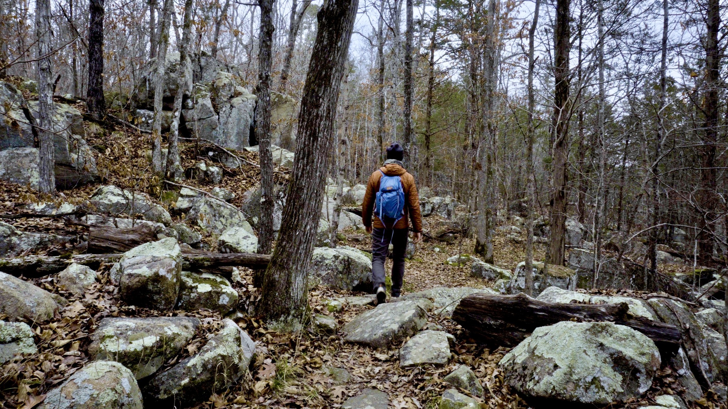 Along the trail