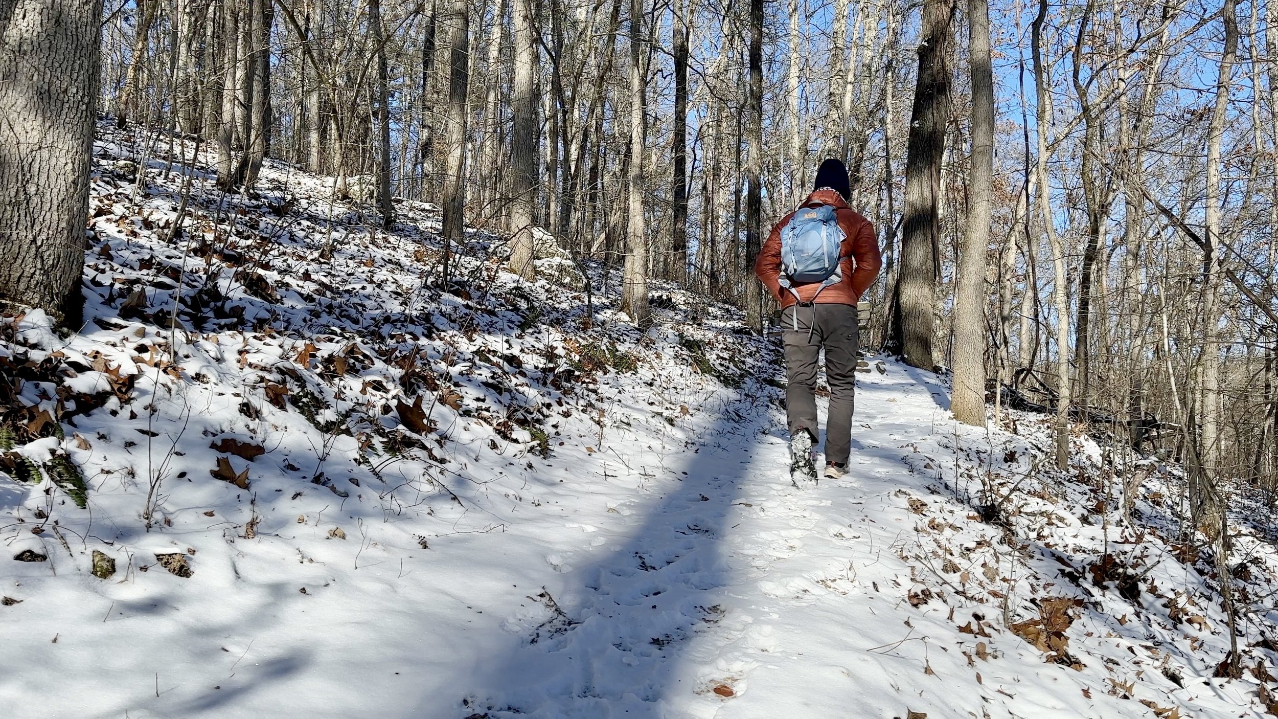 Greer Spring Trail