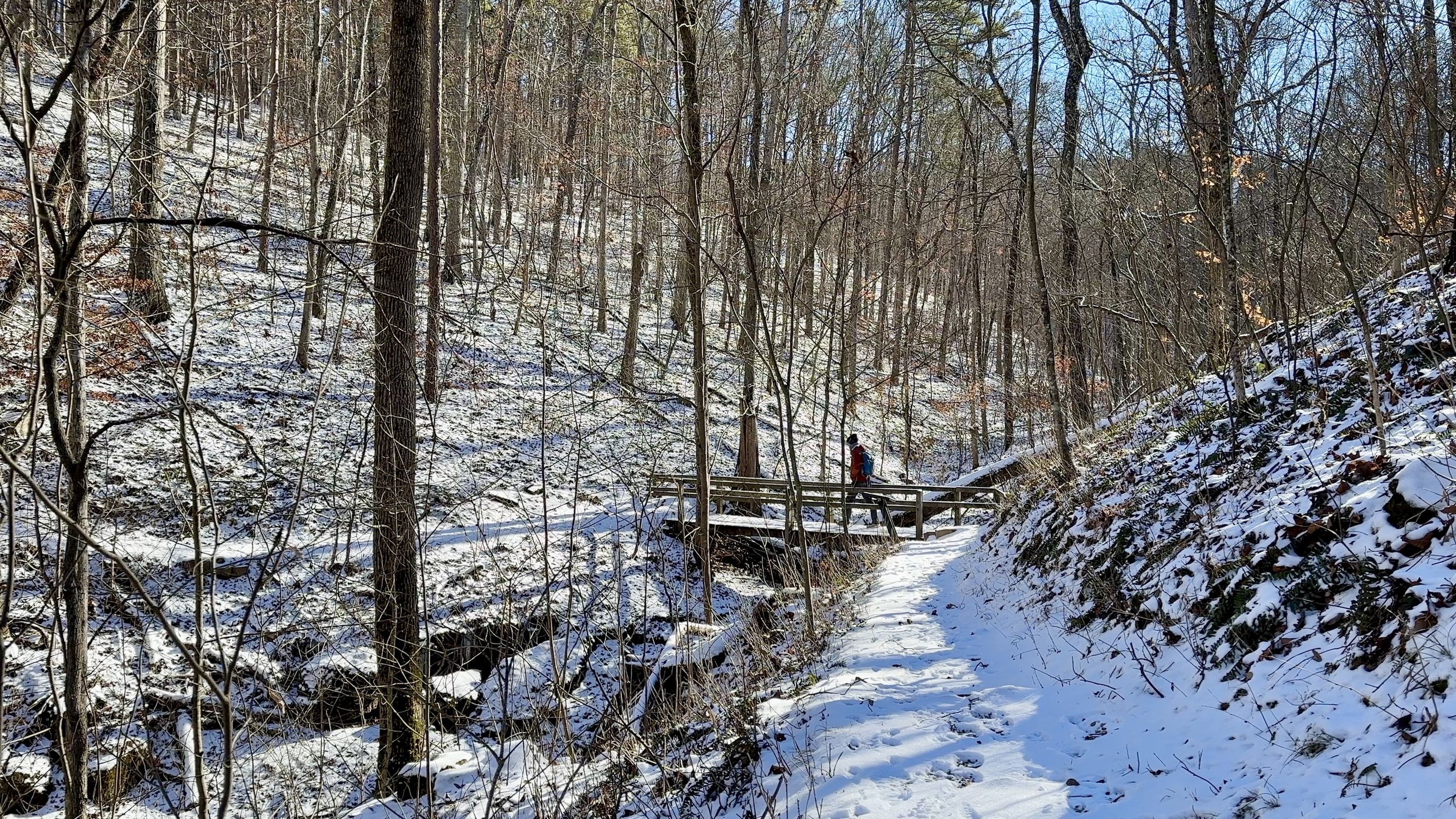 Greer Spring Trail