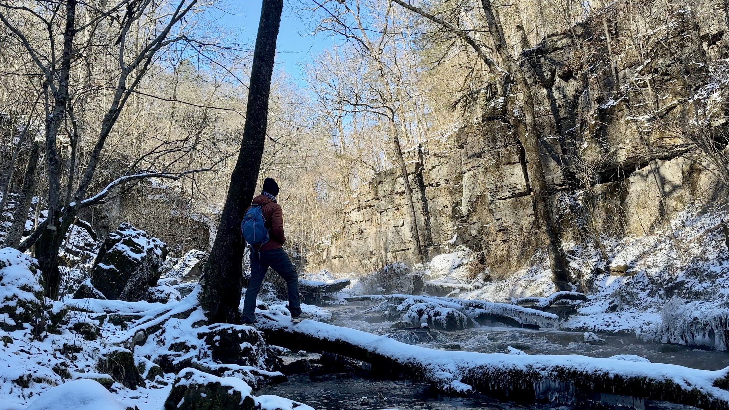 Greer Spring Trail