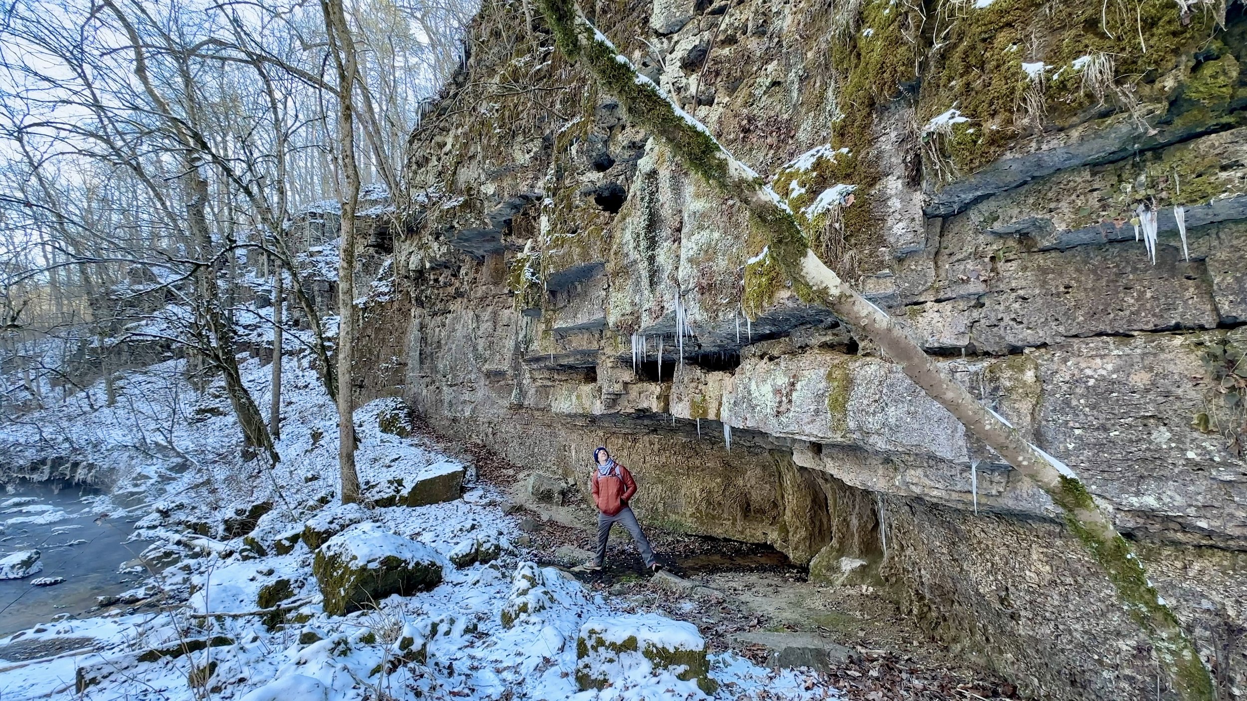 Greer Spring Trail