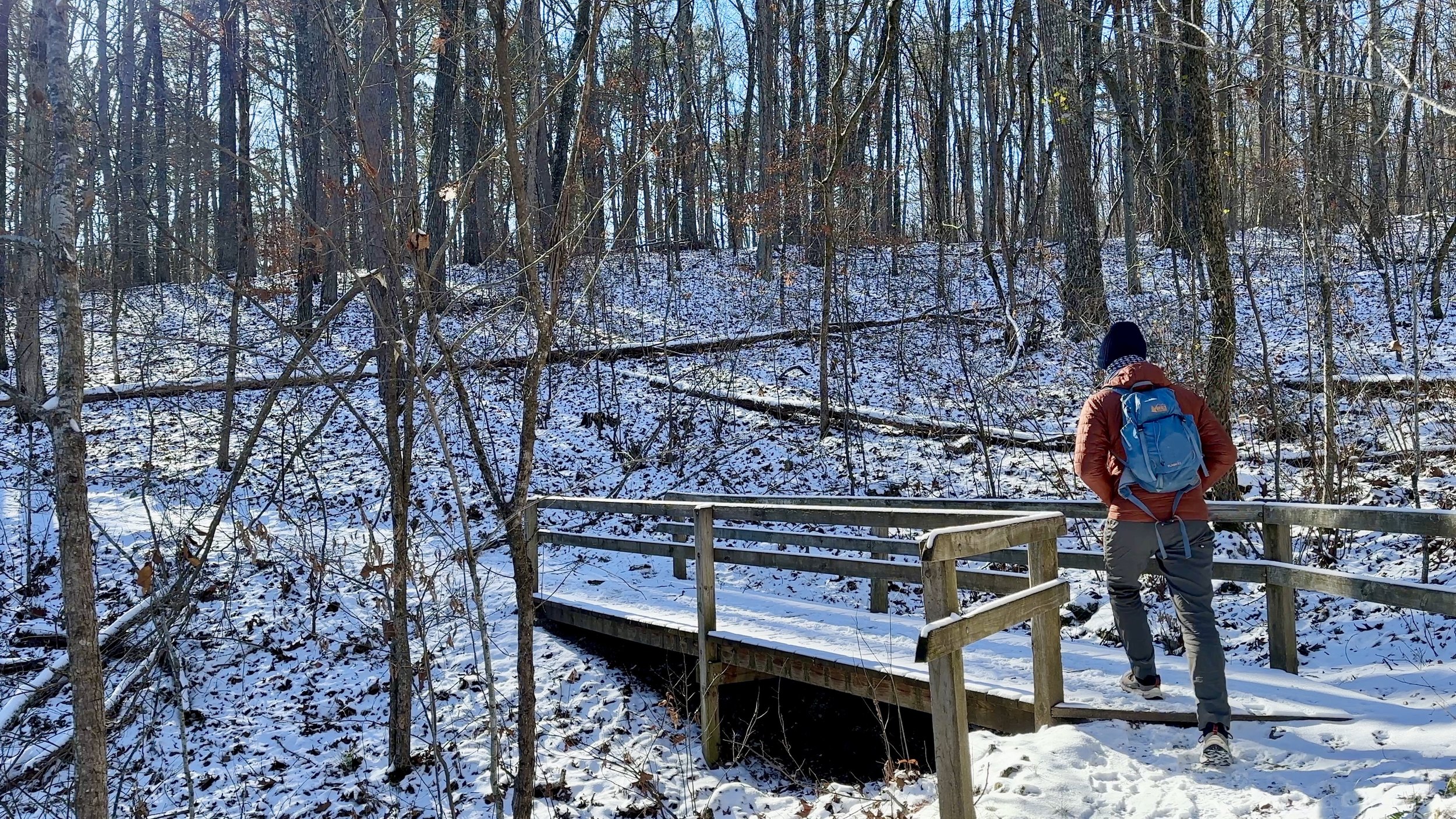 Greer Spring Trail