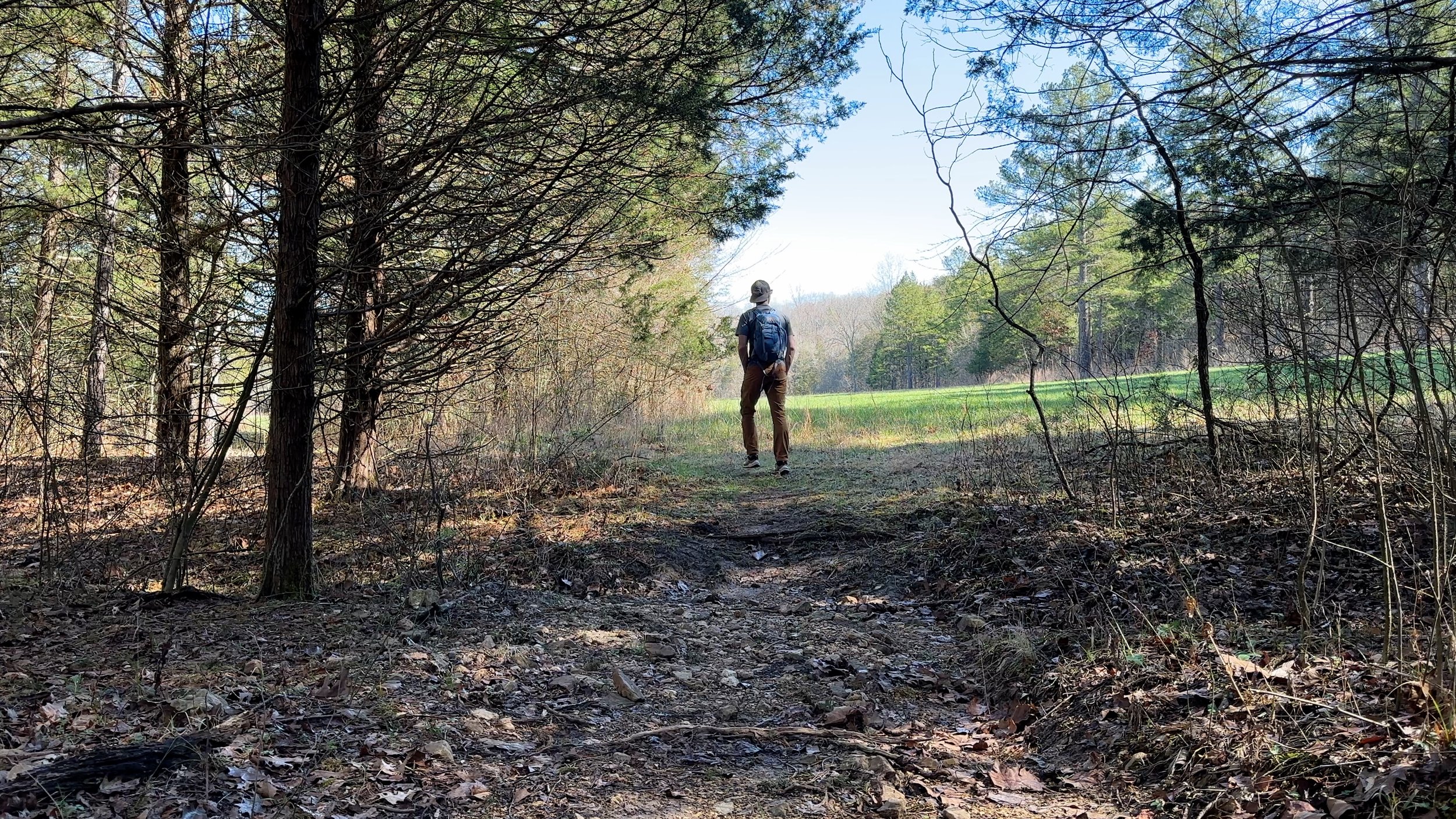 Entering the Open Field