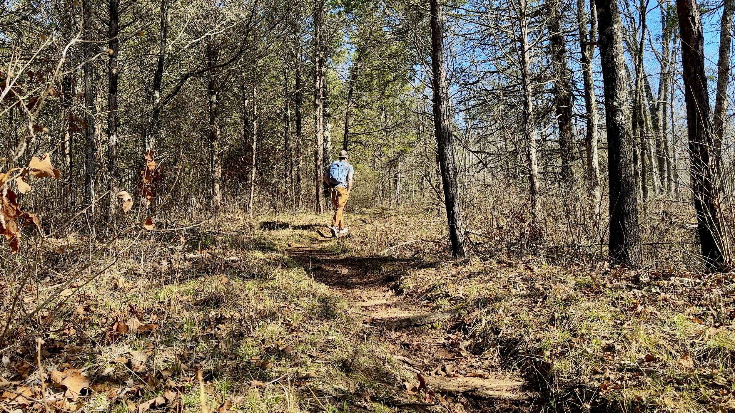 Along the Trail