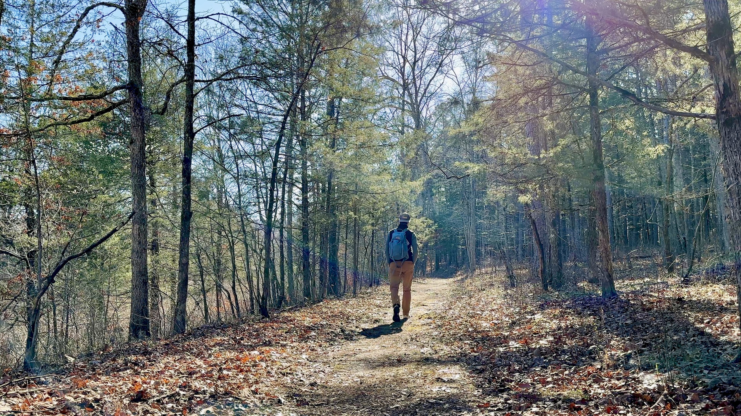 Along the Trail