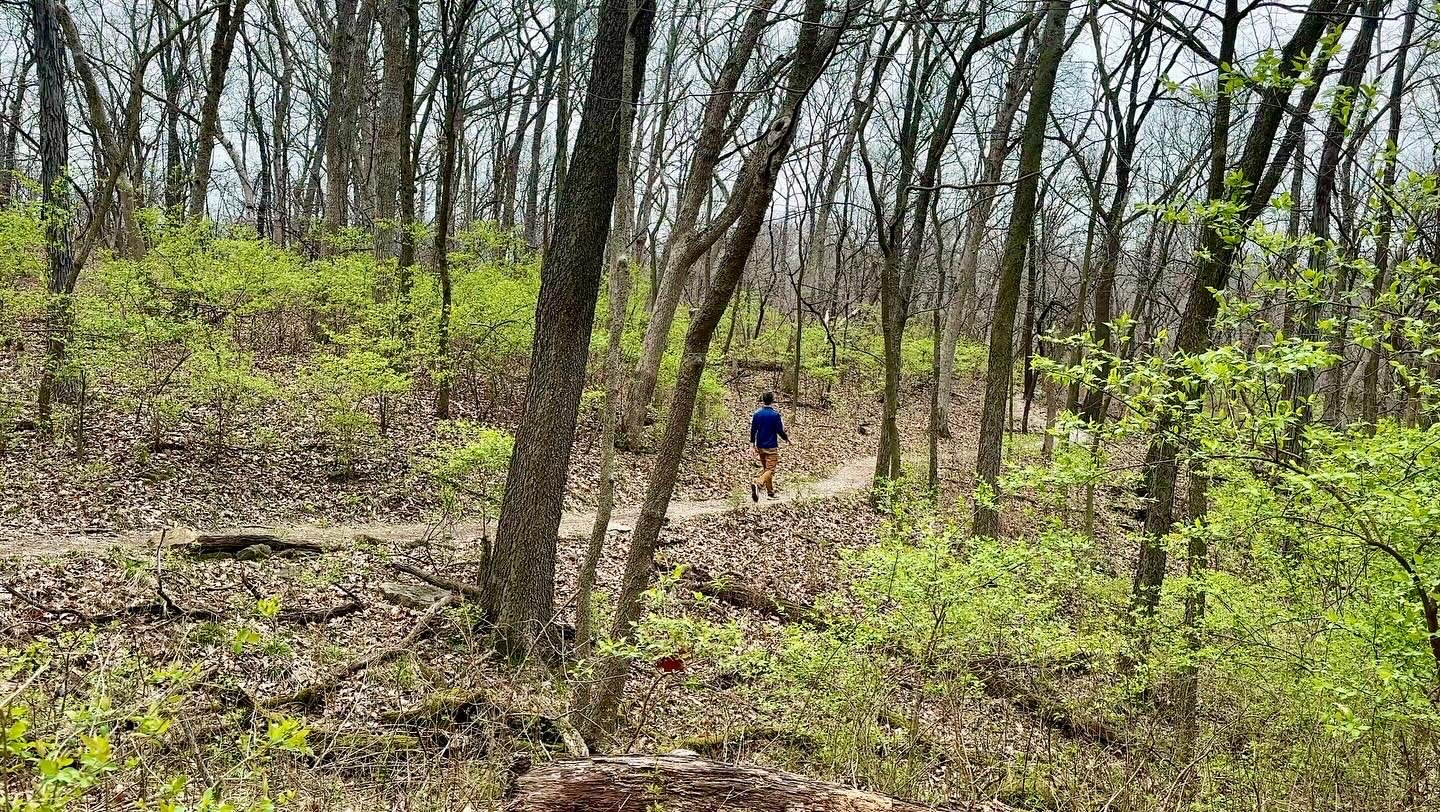 Along the Trail