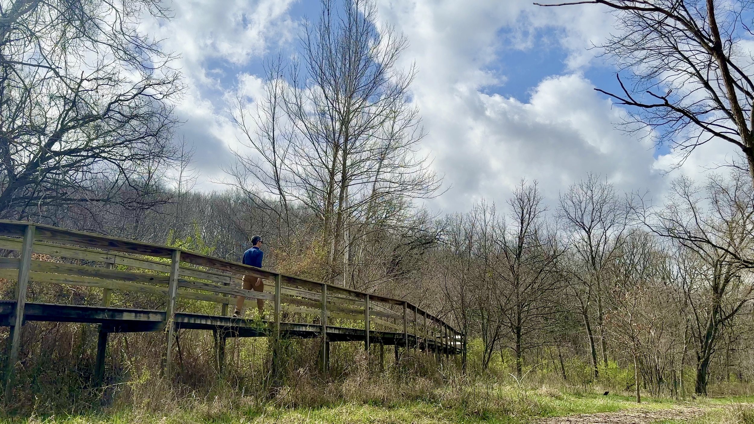 Boardwalk Over The Marsh