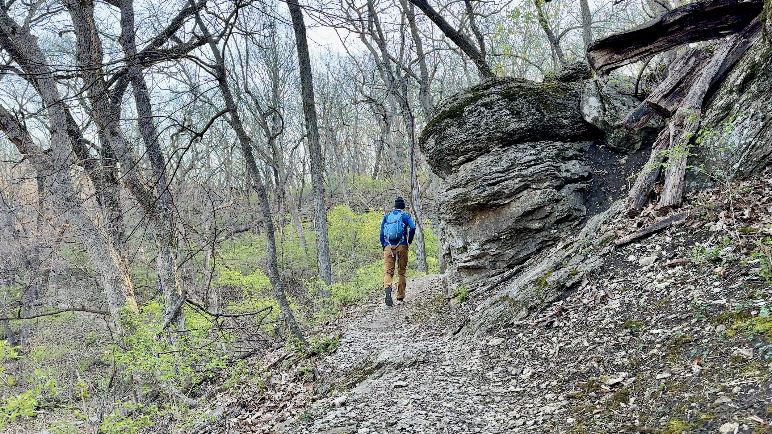 Limestone Outcropping