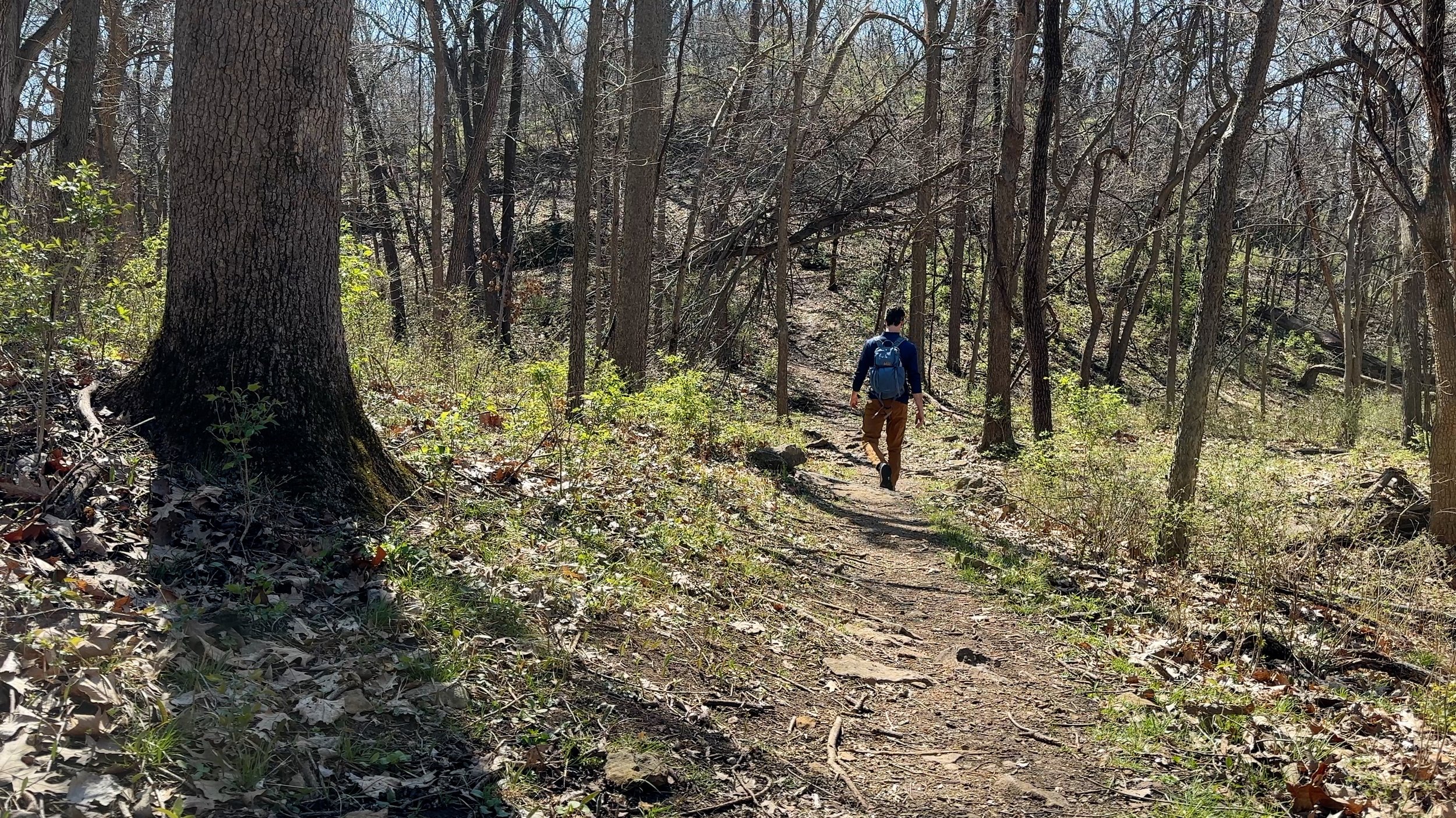 Starting Second Half of the Trail