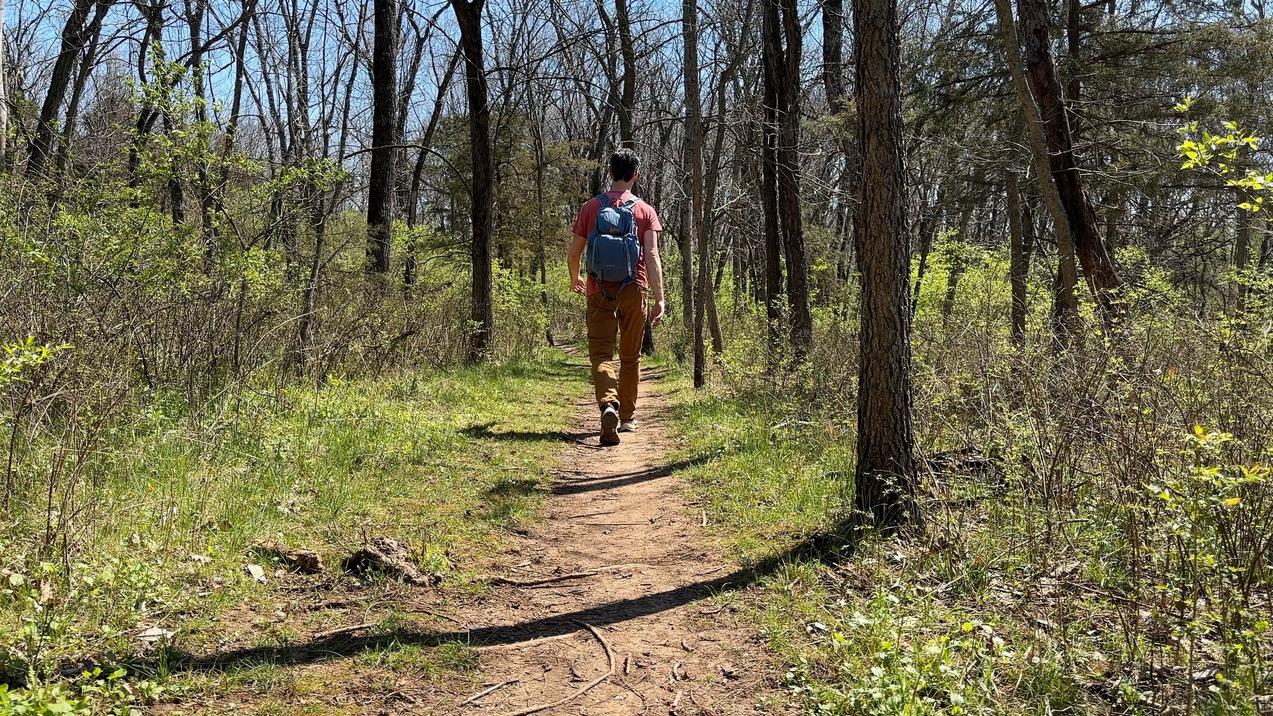 Along the Trail