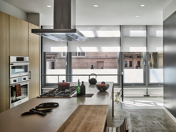 Kit_NY Loft_Counter_Shades Preset.png