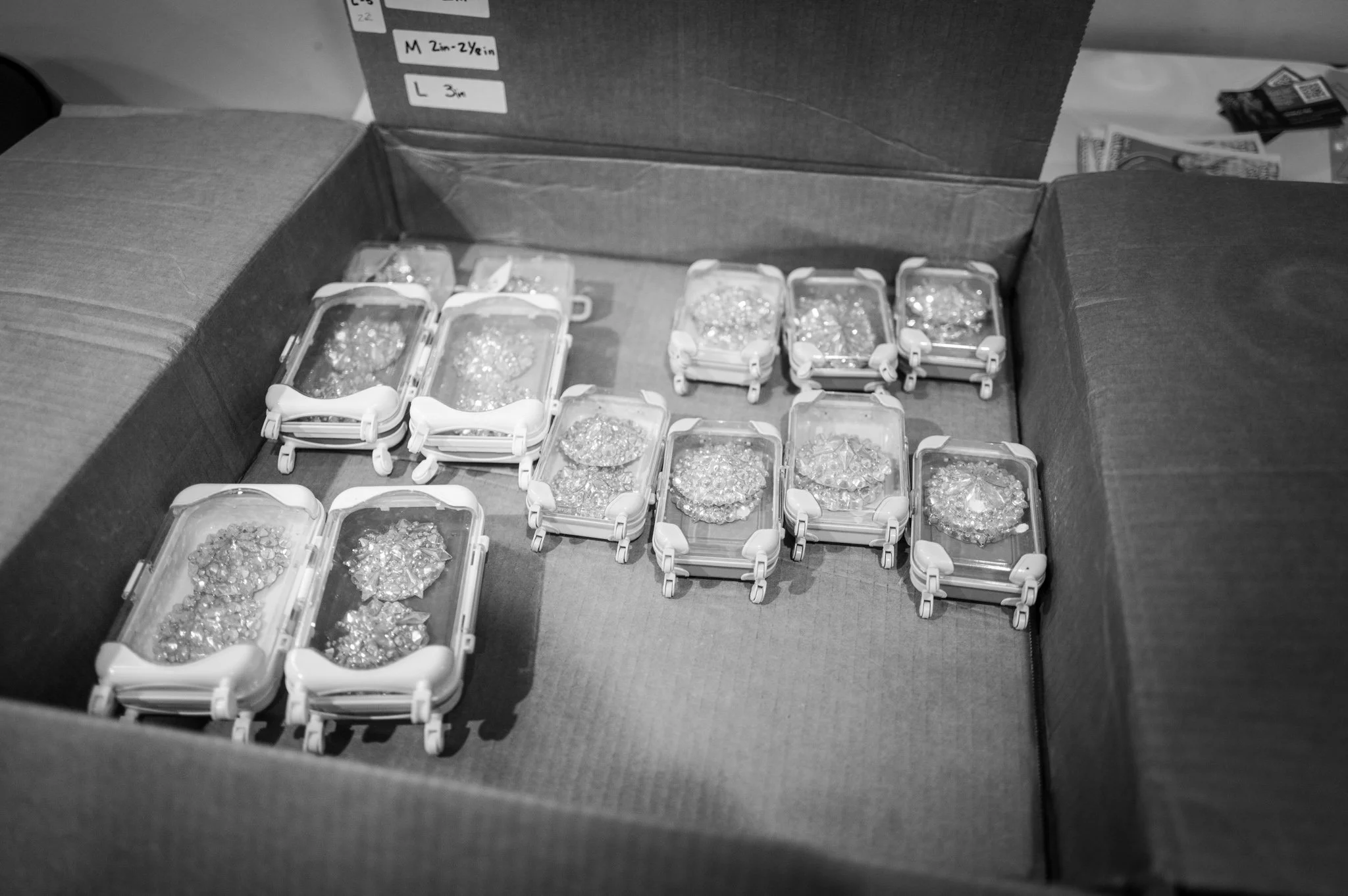 2025-Summer-SchoolOfBurlesque (87 of 89).jpg