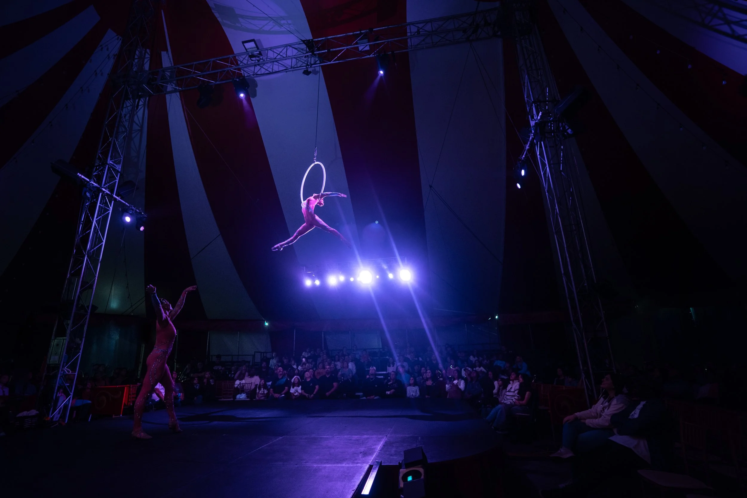 2024 - Huntsville - Venardos Circus  (181 of 316).jpg