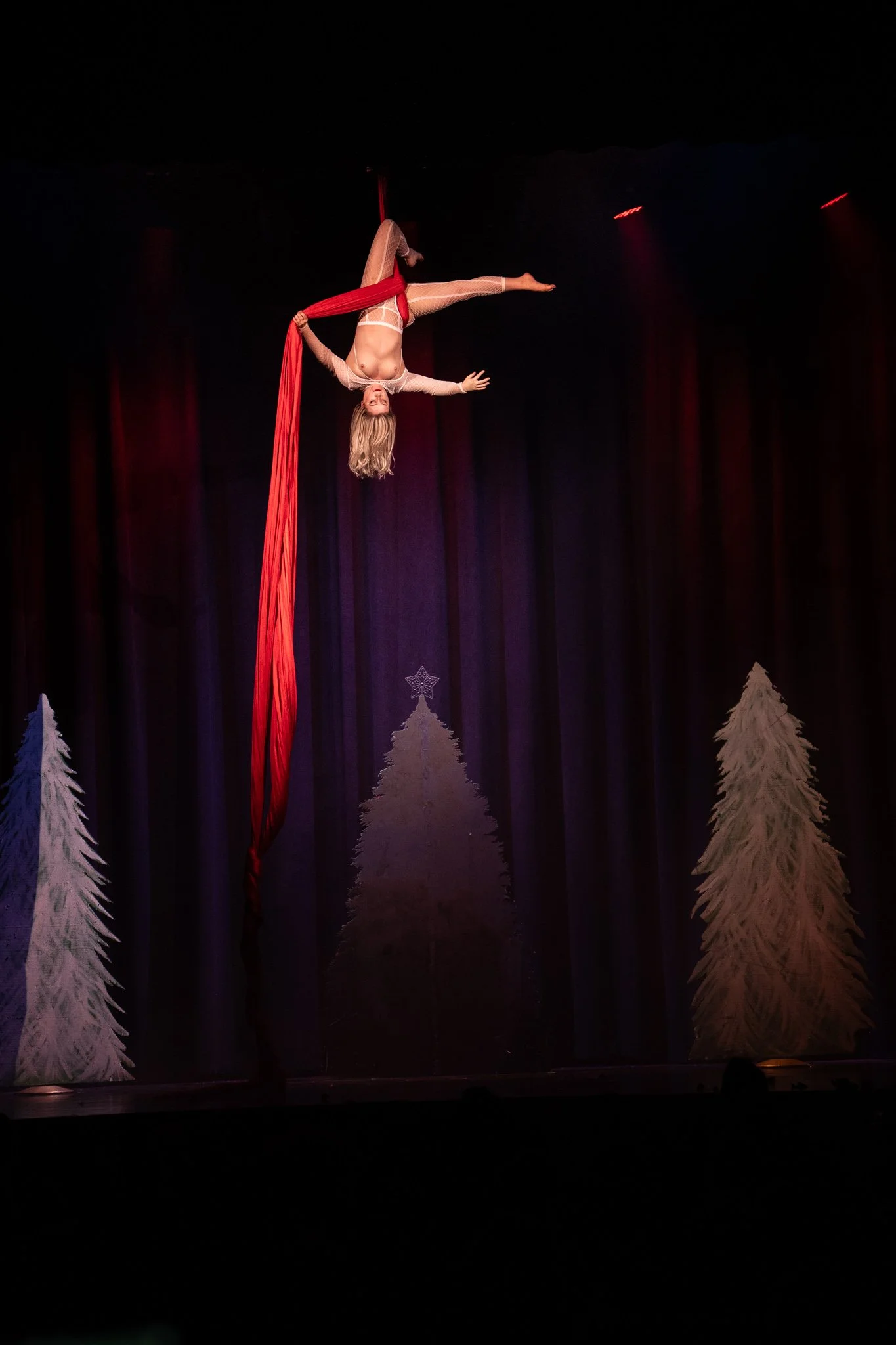 2025-Dec-NutCrackerExotic (133 of 268).jpg