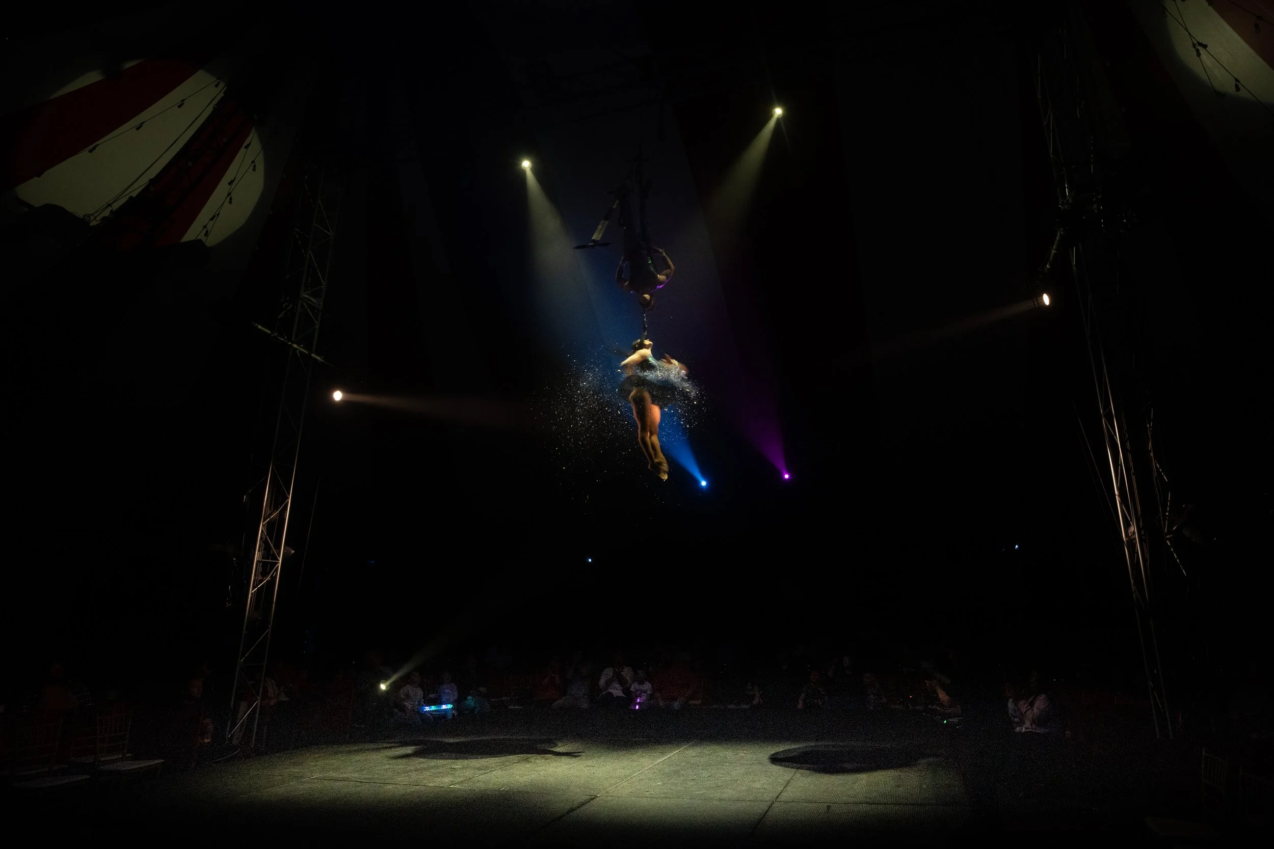 2024 - Huntsville - Venardos Circus  (176 of 316).jpg