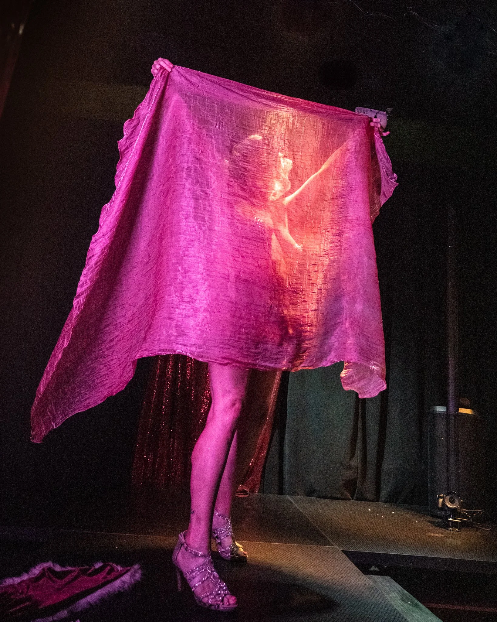 2025-Summer-SchoolOfBurlesque-Show2 (34 of 228).jpg