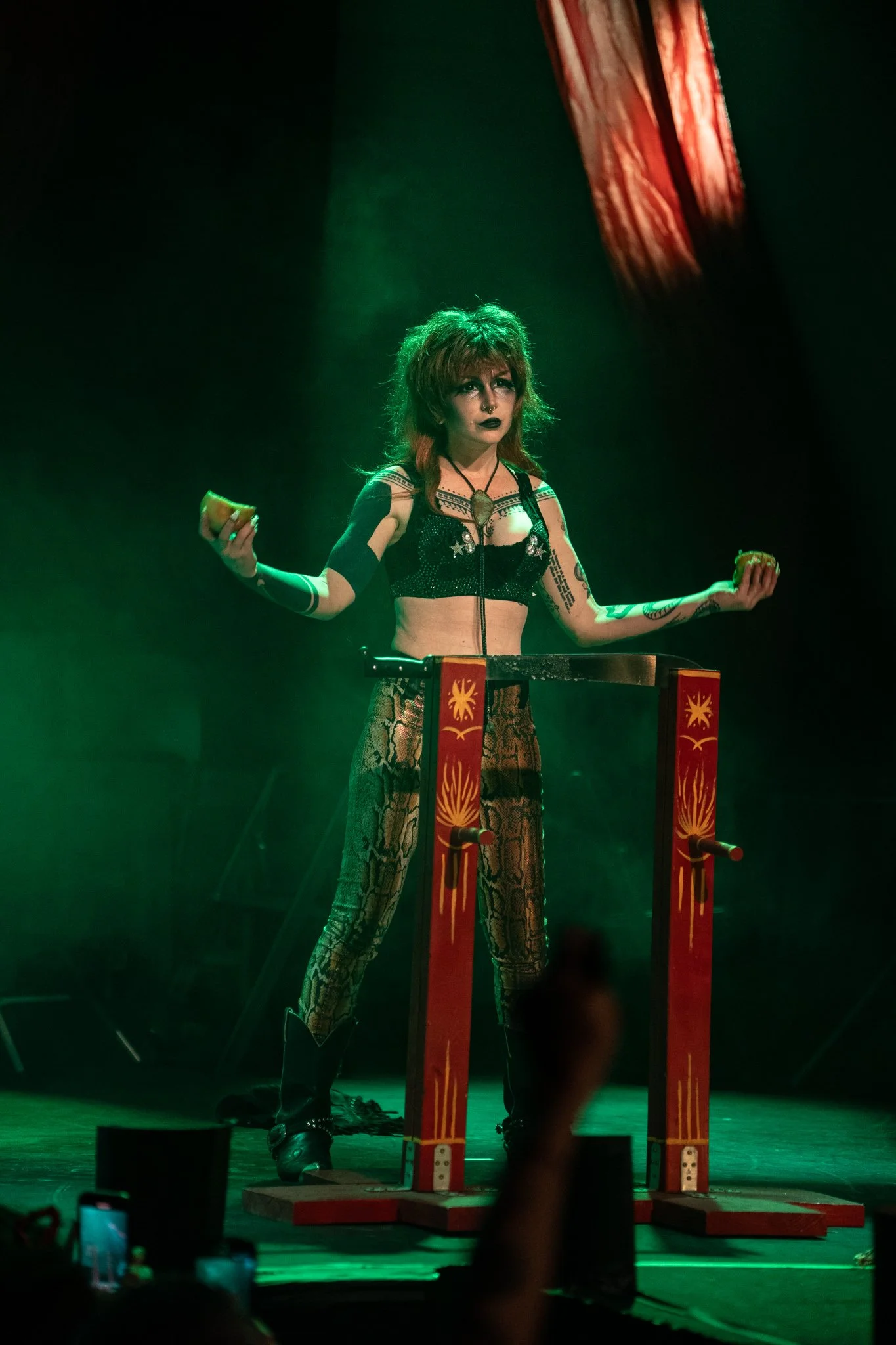 2026-Jan-NoRingCircus-Show (99 of 277).jpg