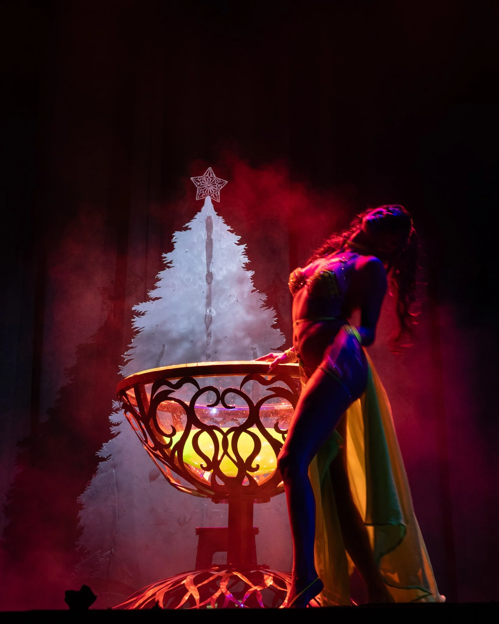 2025-Dec-NutCrackerExotic (251 of 268).jpg